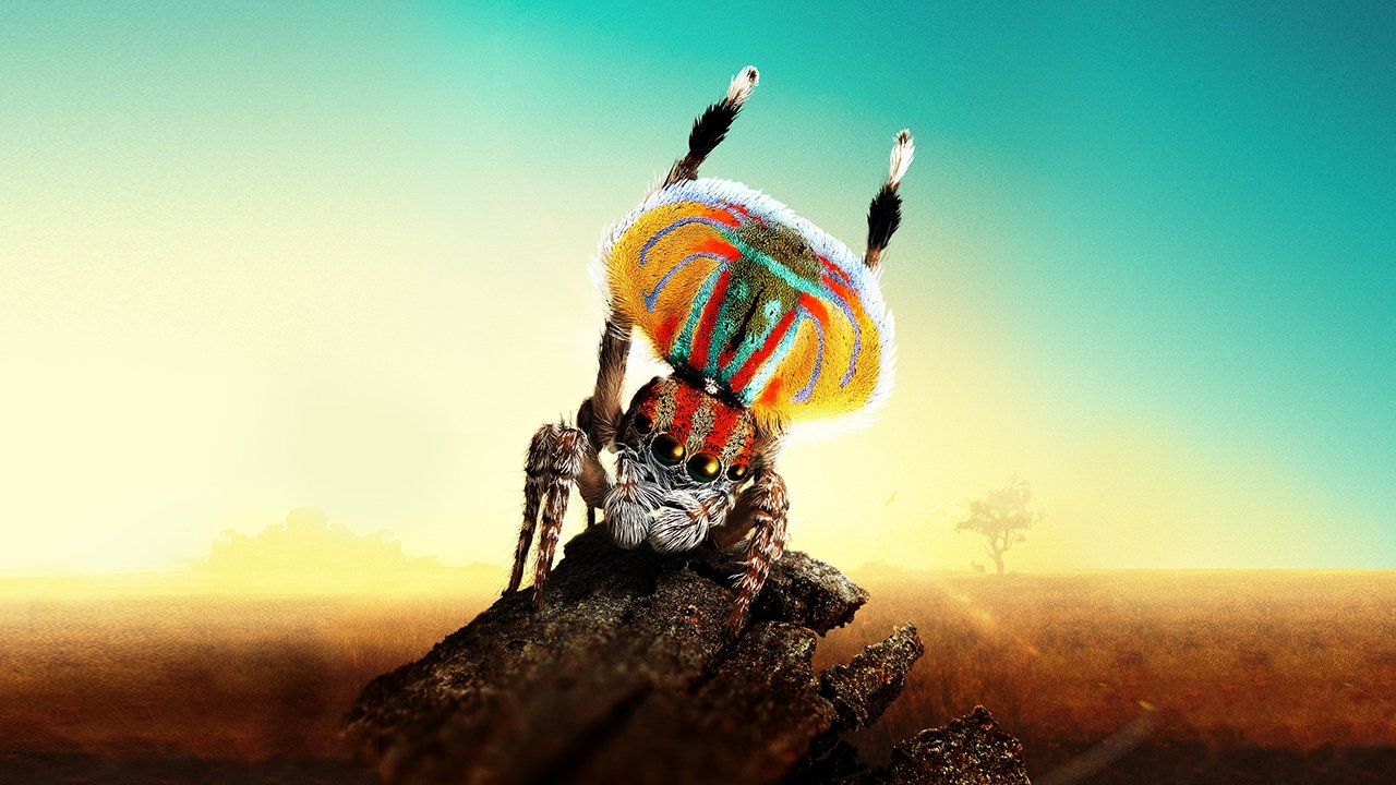 Backdrop for Magical Land of Oz