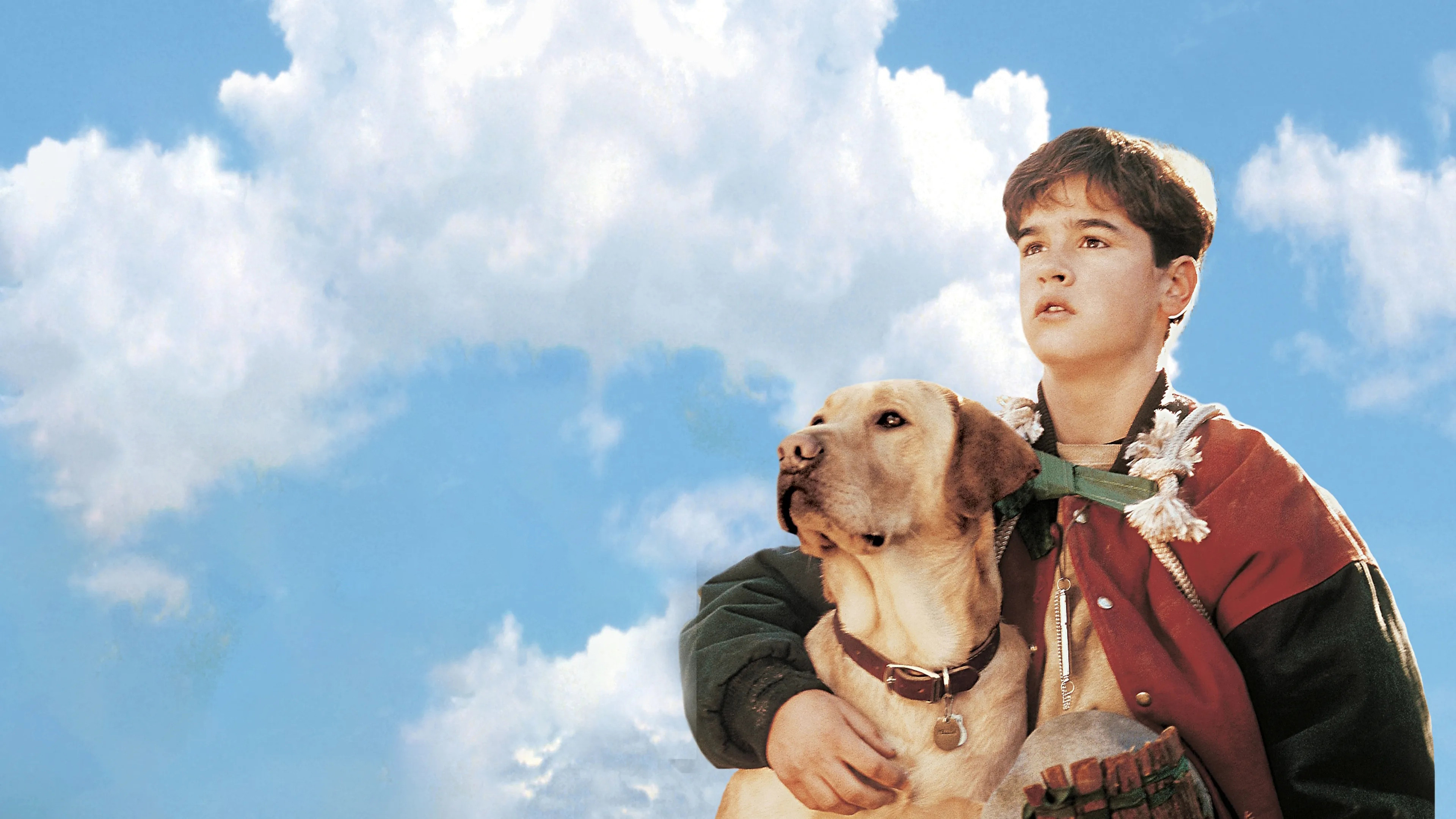 Backdrop for Far from Home: The Adventures of Yellow Dog