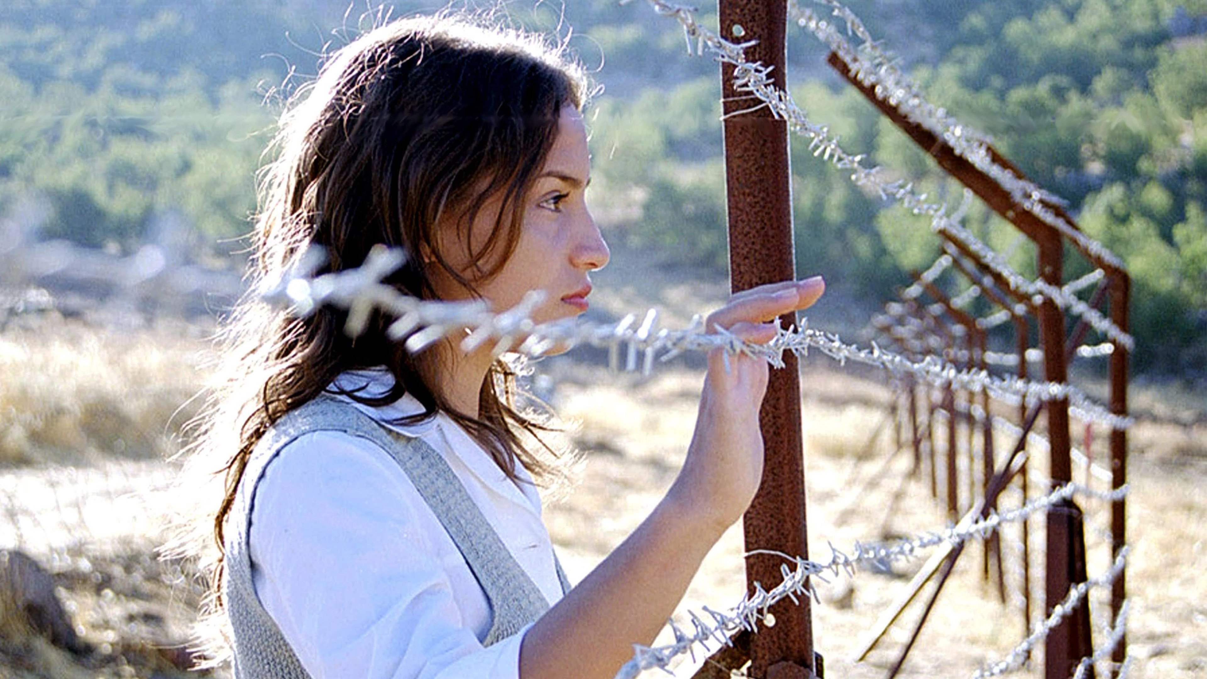 Backdrop for The Kite