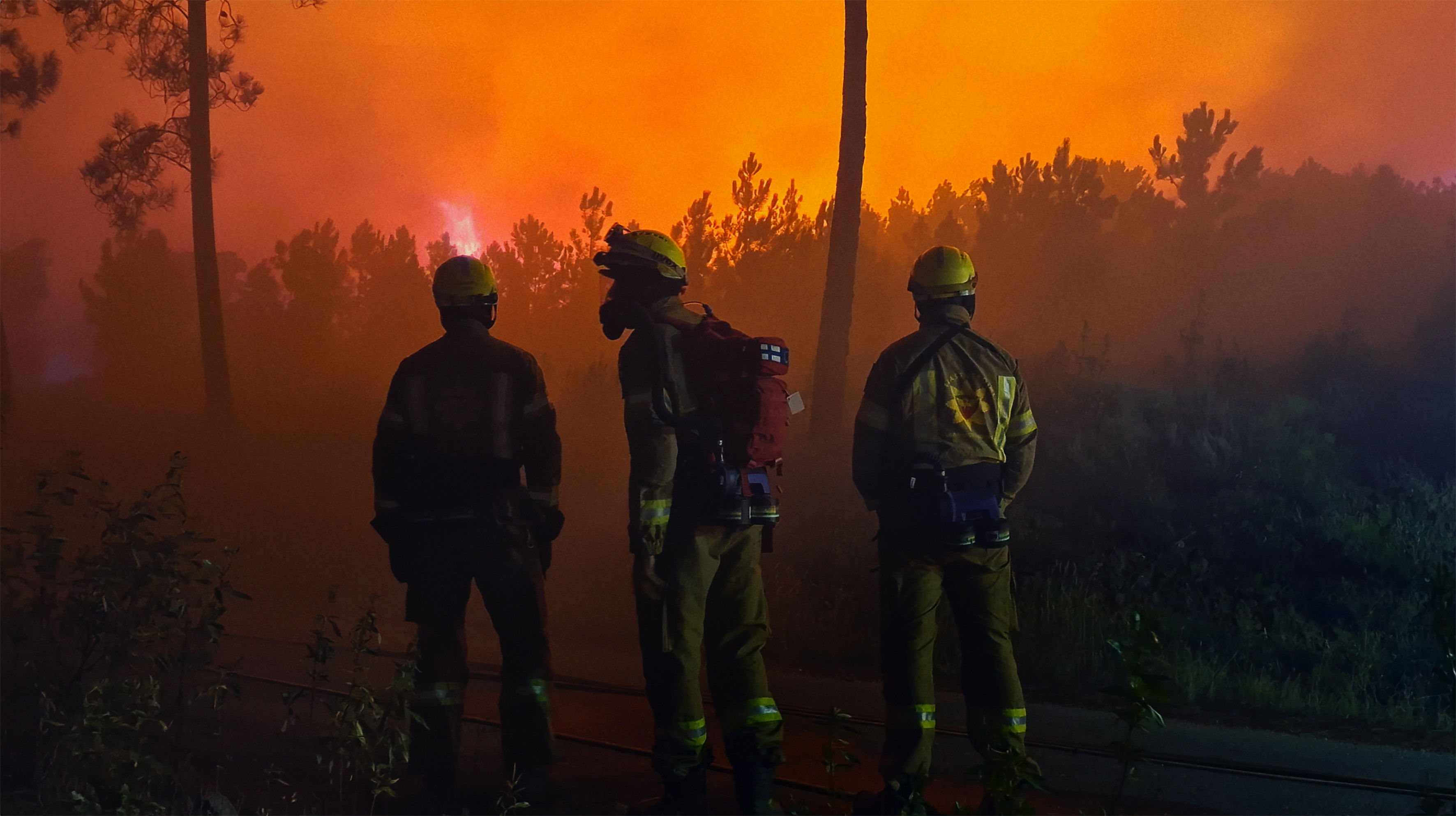 Backdrop for Lessons in Fire