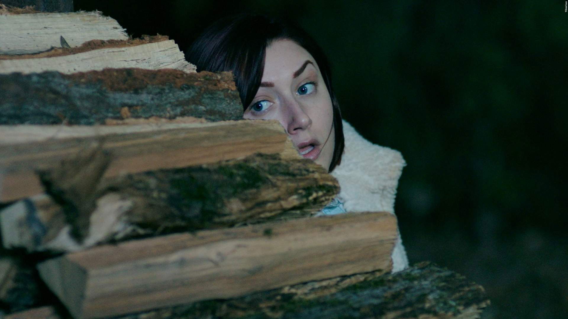 Backdrop for Alien Hunter