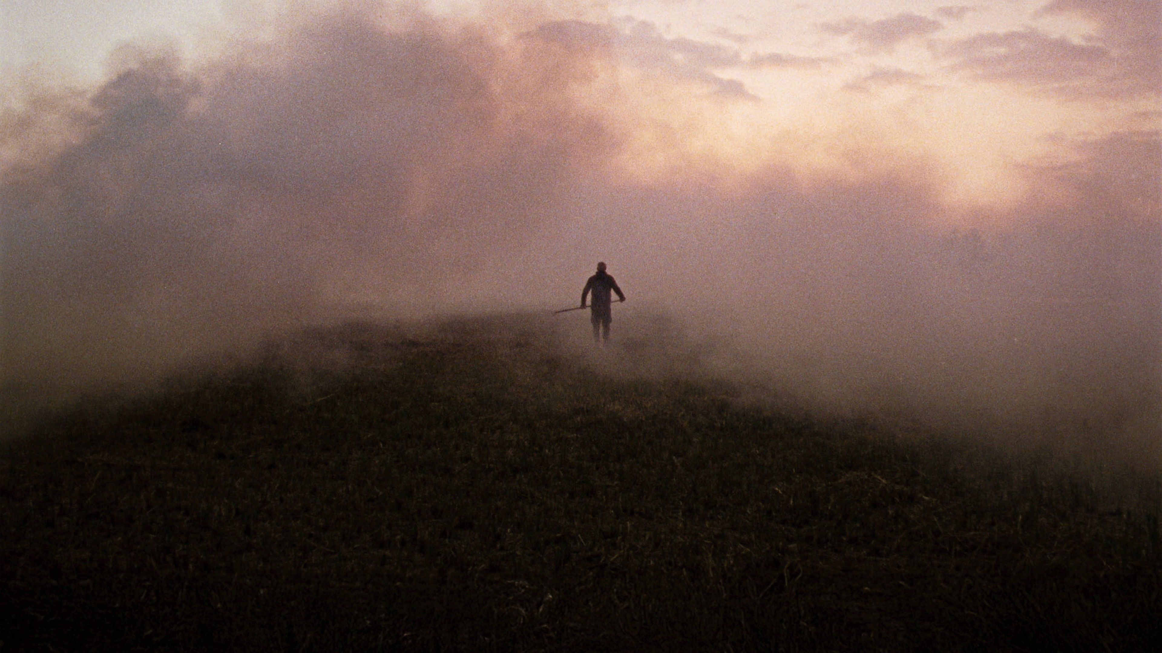 Backdrop for Reedland