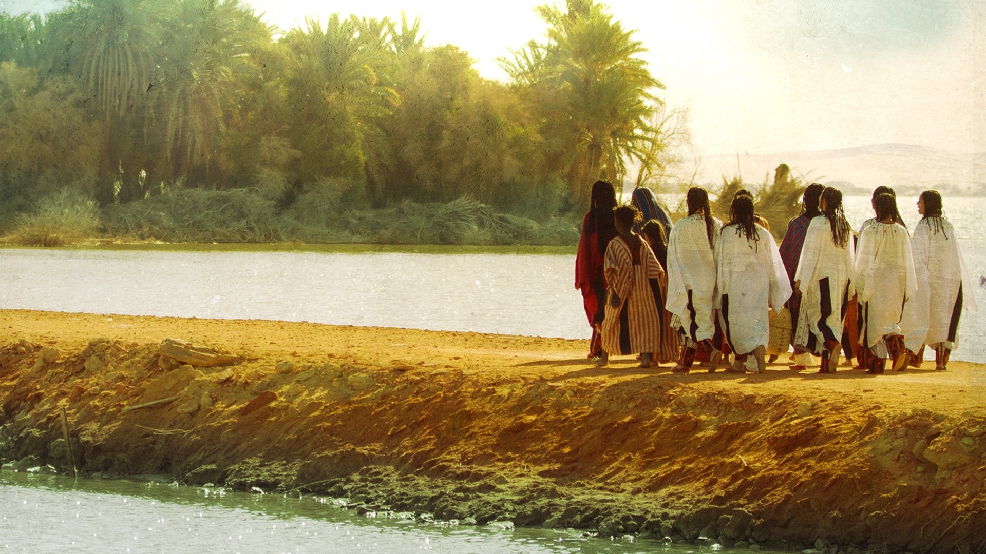 Backdrop for Sunset Oasis