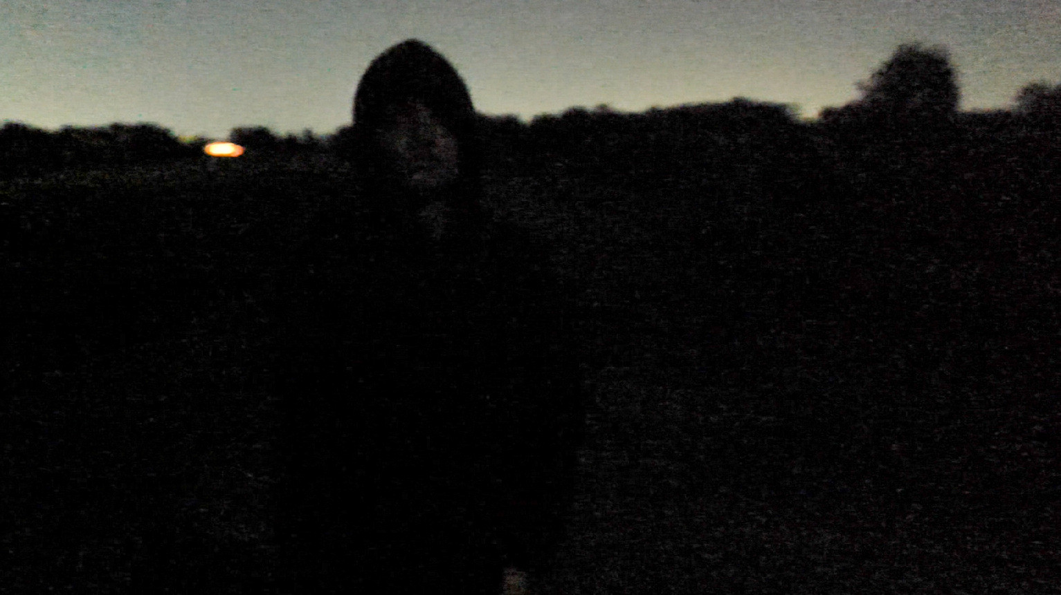 Backdrop for Phobophobia