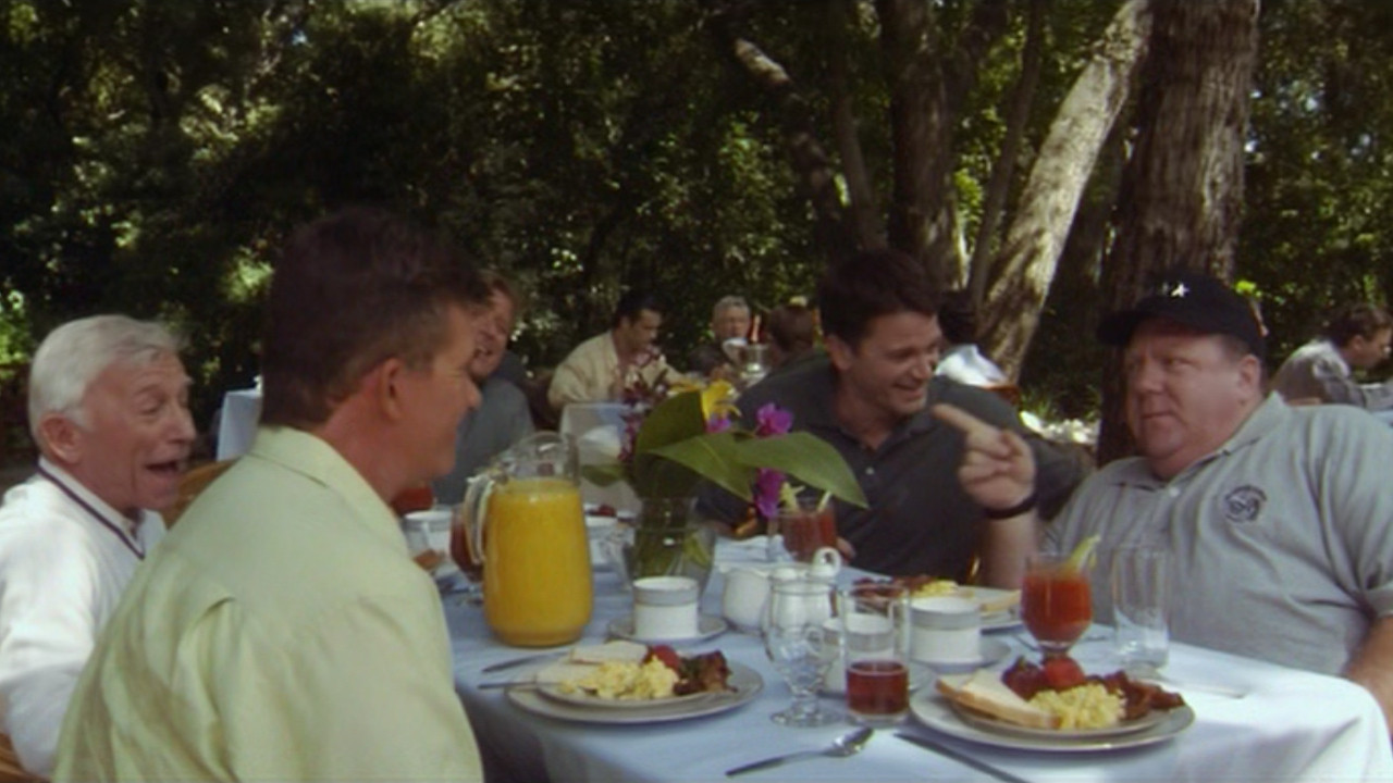 Backdrop for Teddy Bears' Picnic