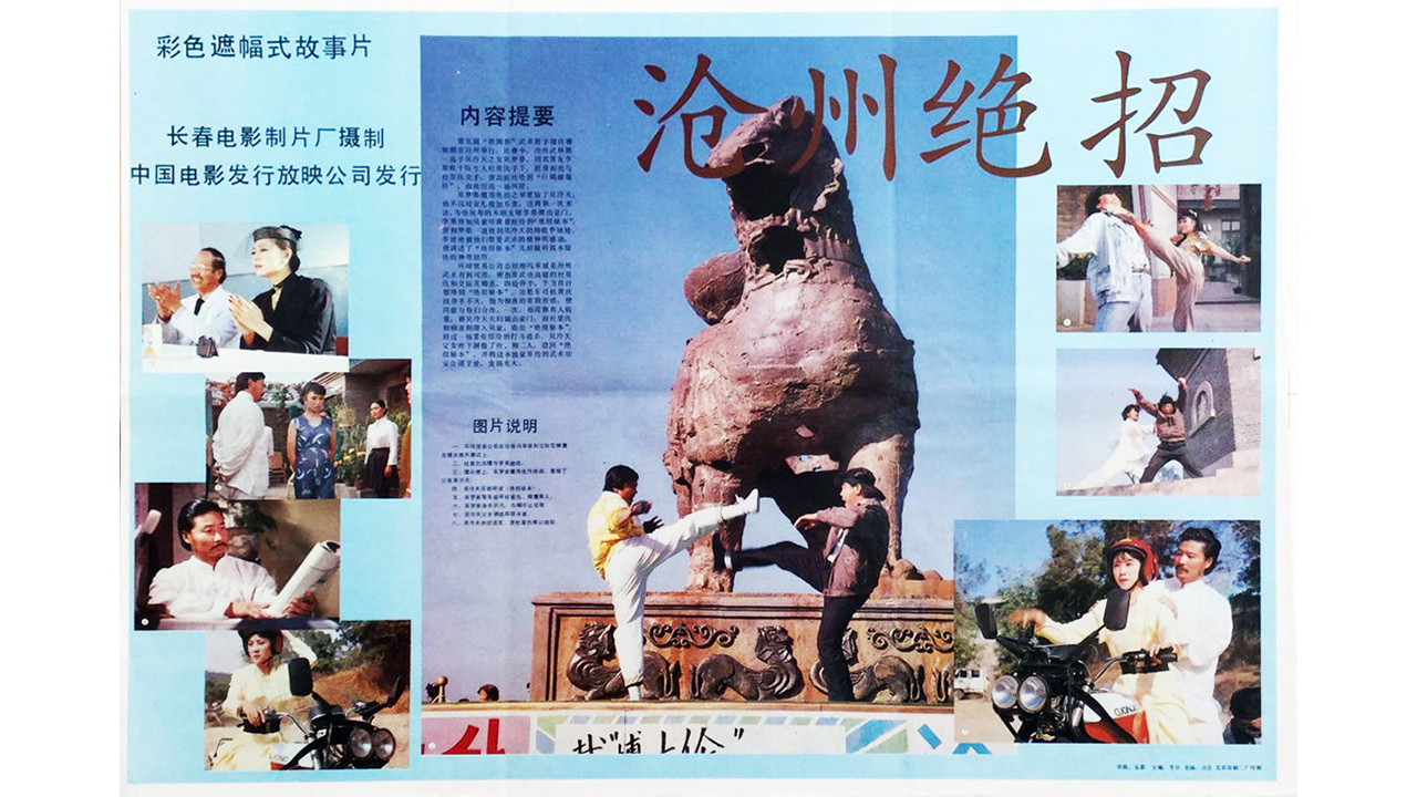 Backdrop for 沧州绝招