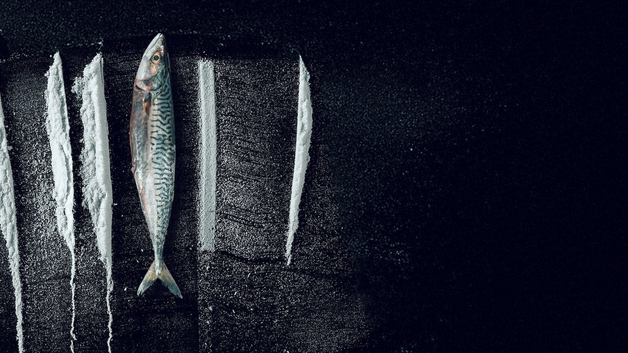 Backdrop for Turn of the Tide: The Surreal Story of Rabo de Peixe