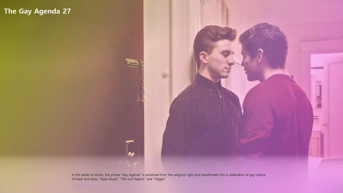 Backdrop for The Gay Agenda 27