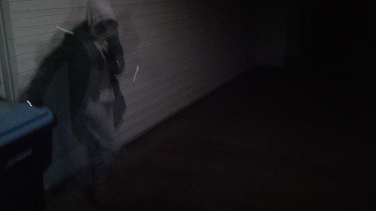 Backdrop for fish dealer