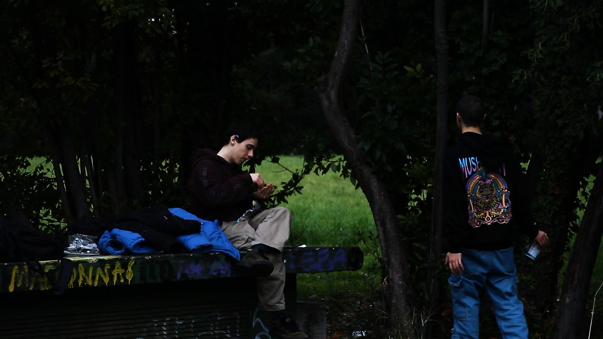 Backdrop for ACCANNA