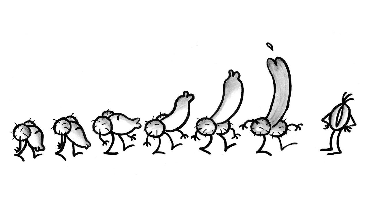 Backdrop for Pene e Vagina