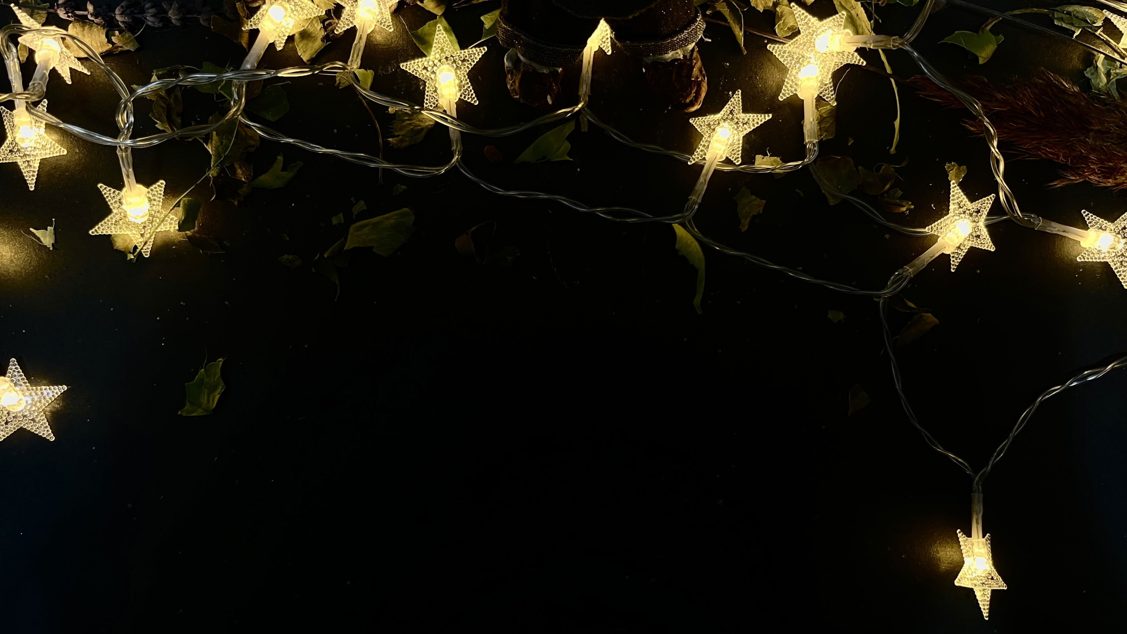 Backdrop for The Flytrap