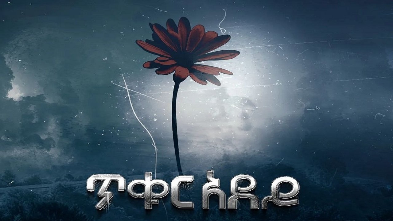 Backdrop for Tikur Adey