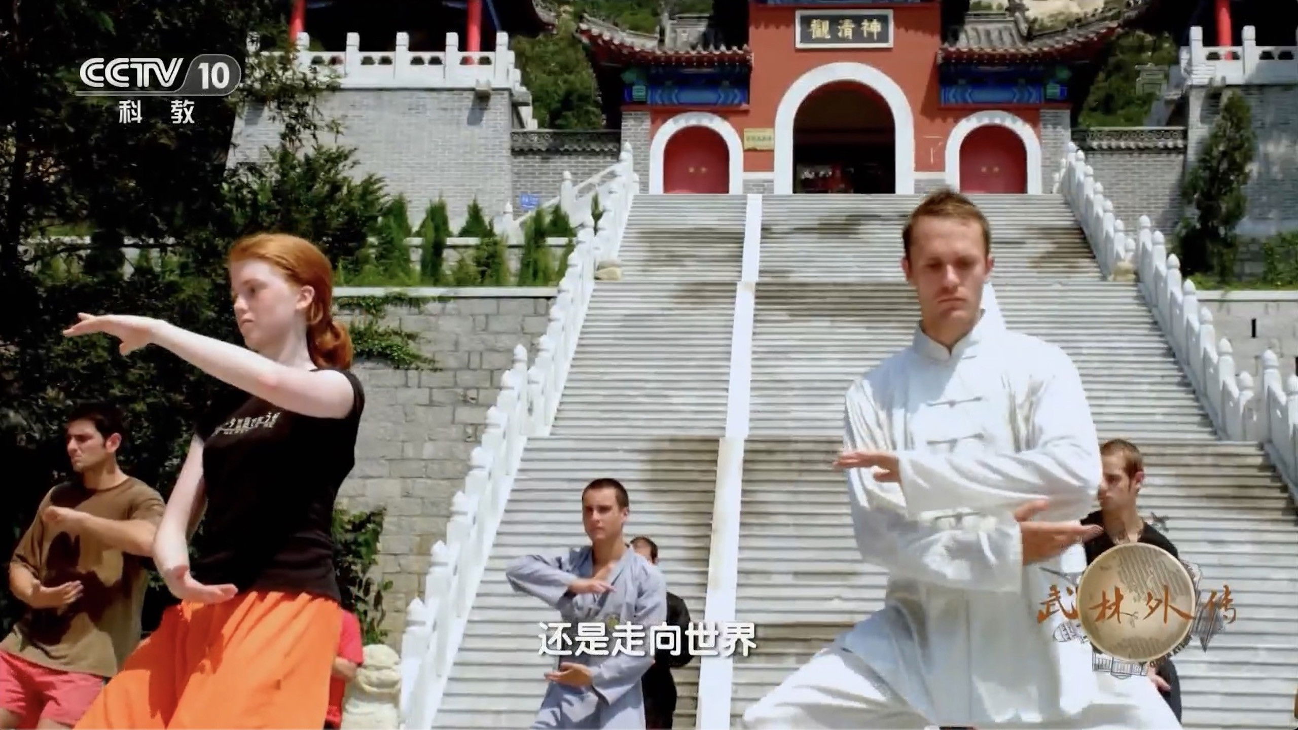 Backdrop for Legend of Martial Arts