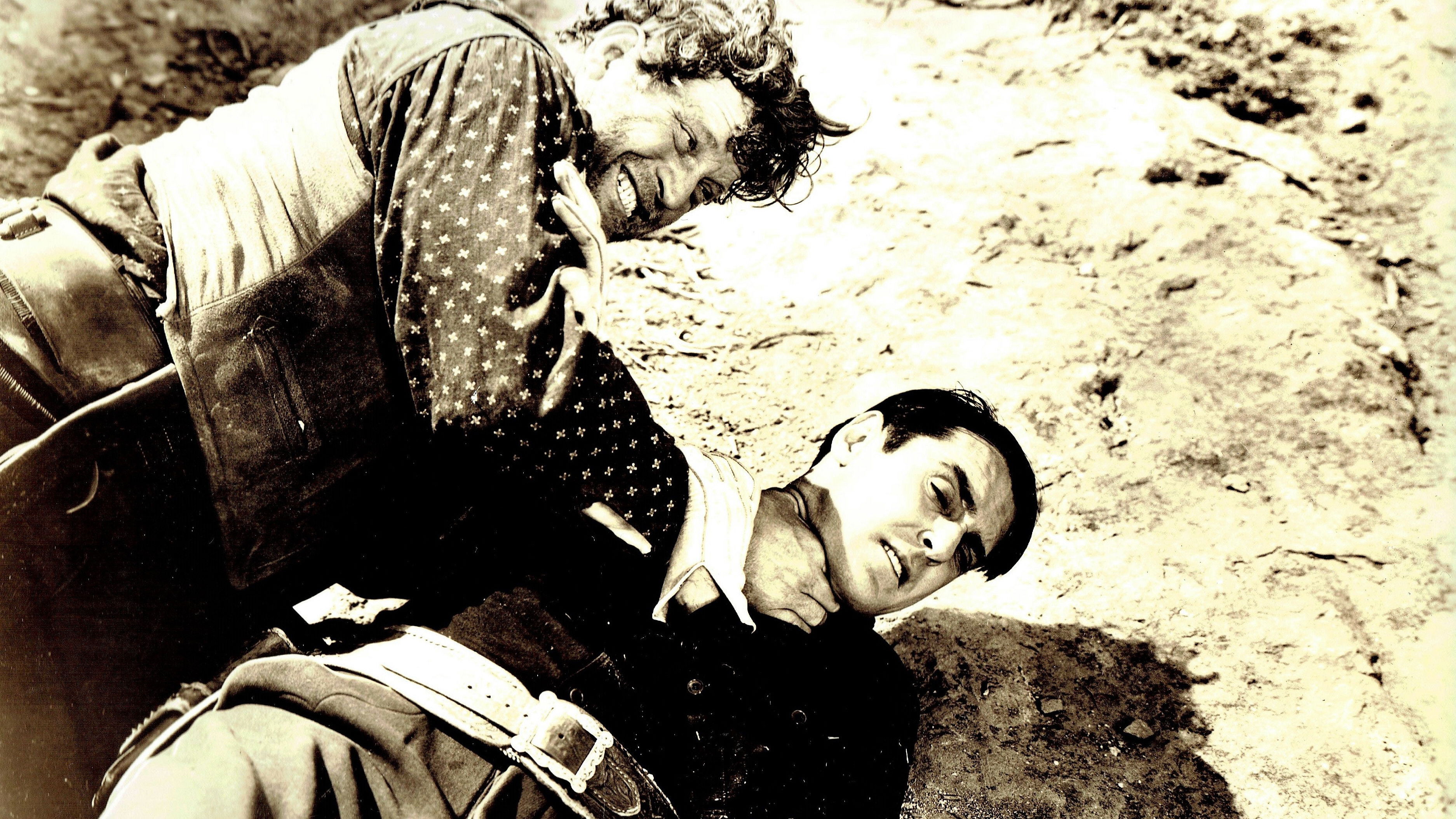 Backdrop for The Fiddlin' Buckaroo