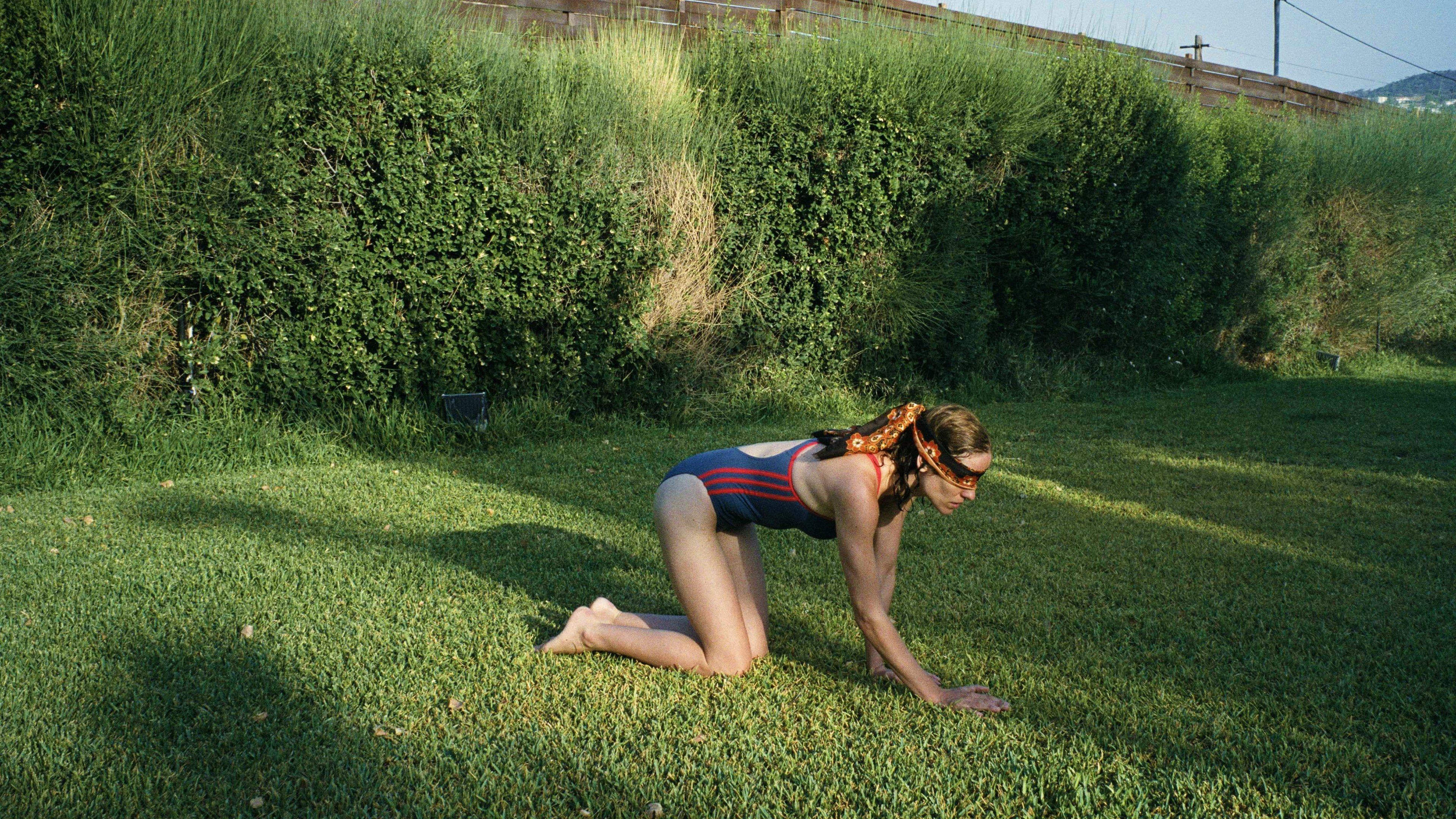 Backdrop for Dogtooth