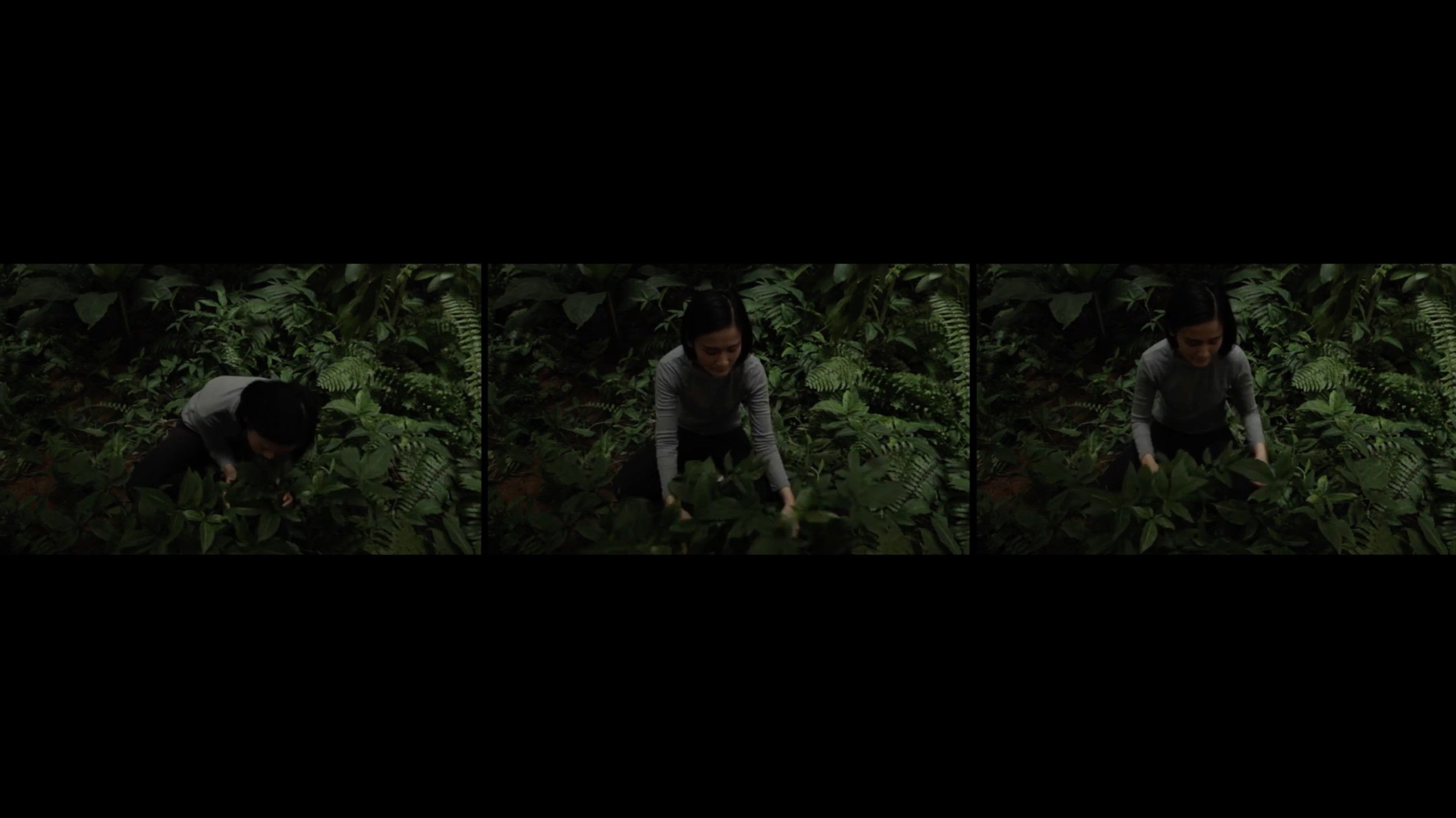 Backdrop for Anitya (Impermanence)