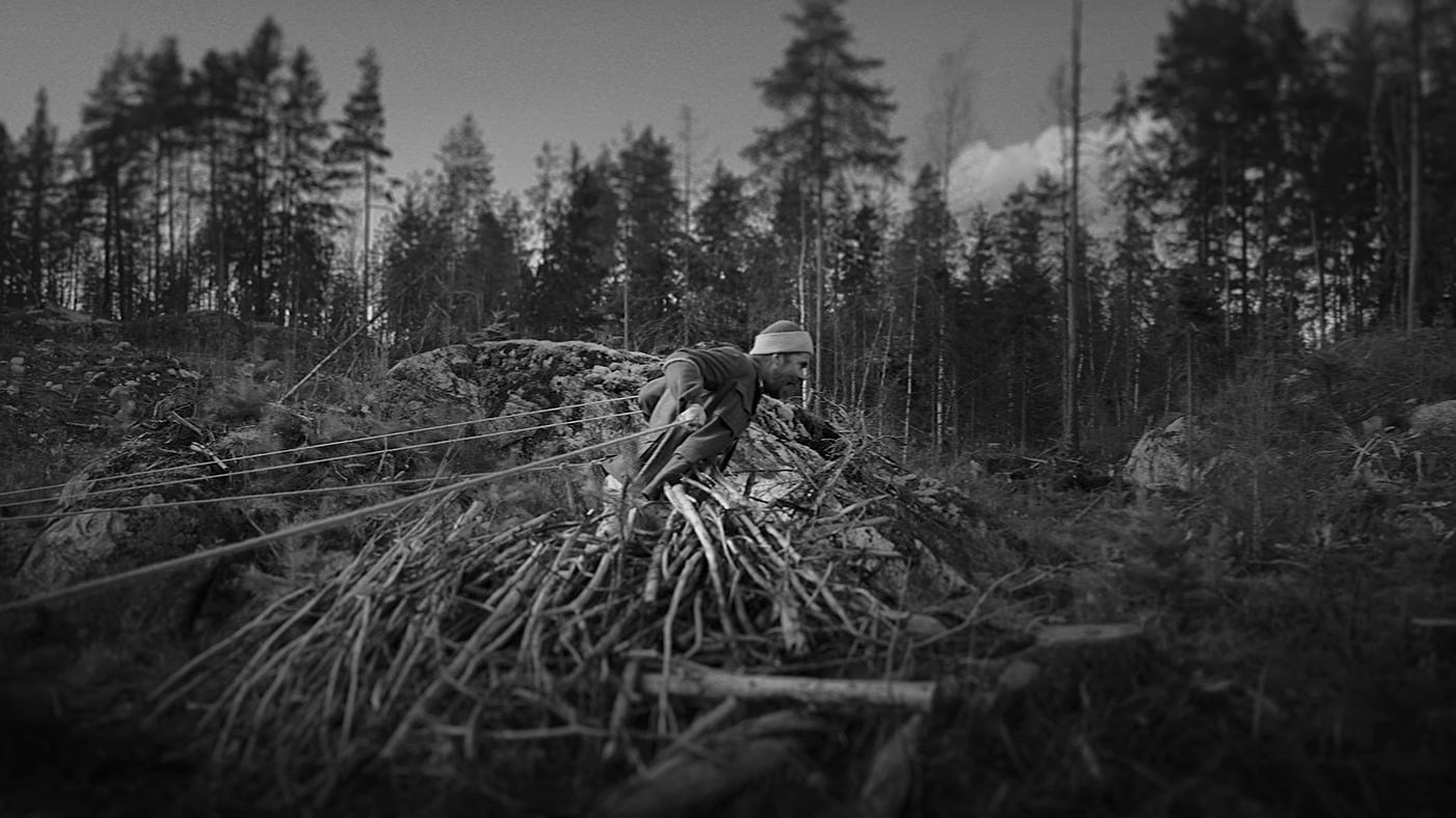 Backdrop for Rays of Light