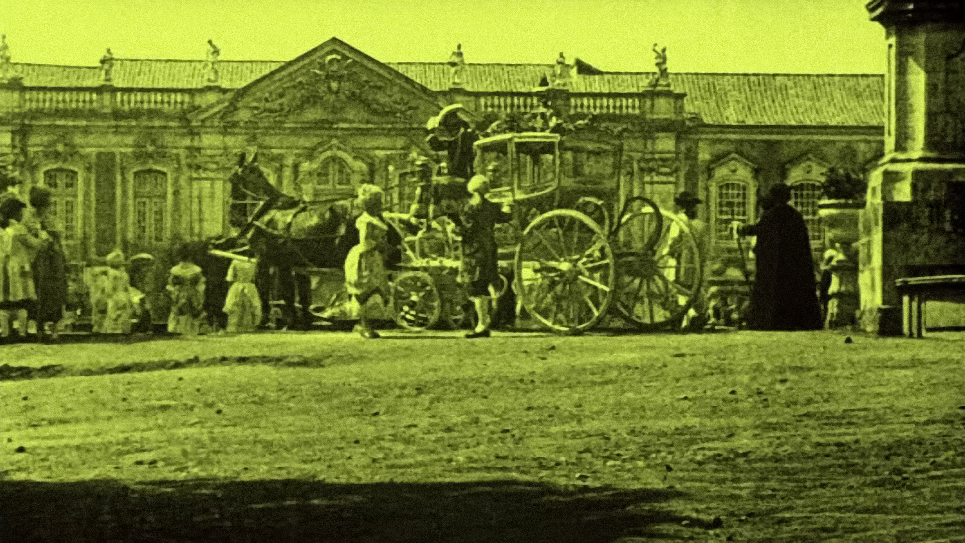 Backdrop for Marigold