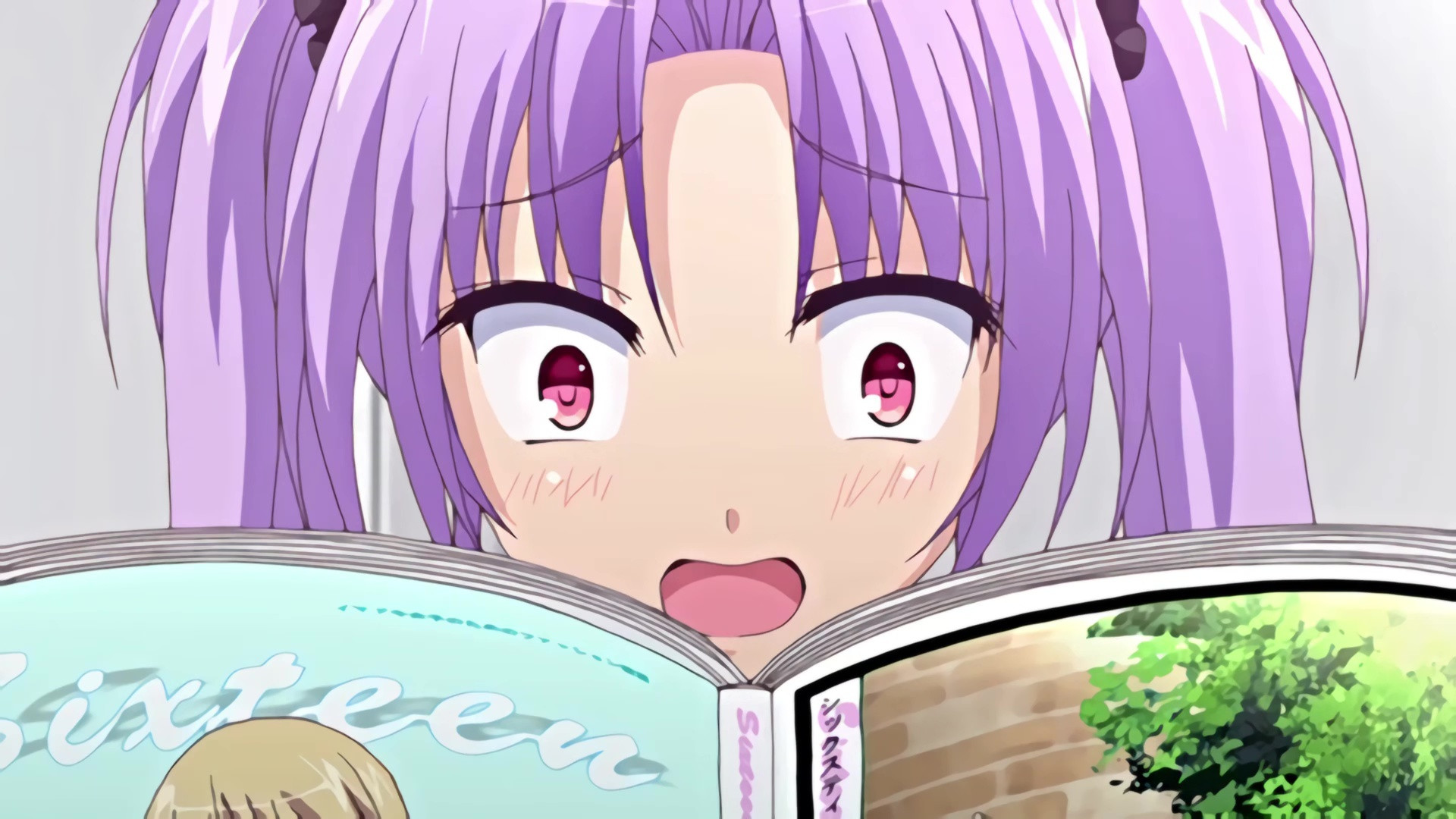 Backdrop for Hime-sama Love Life!