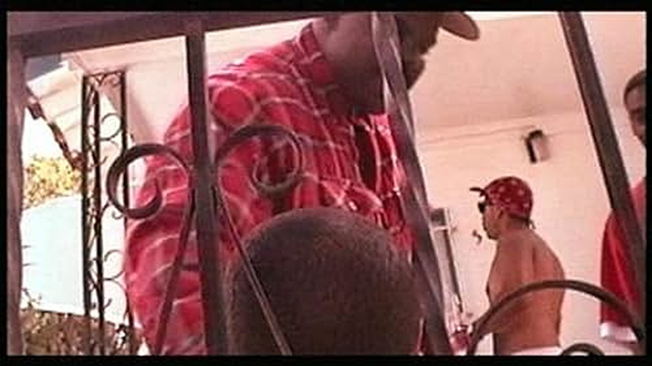 Backdrop for Banged Out