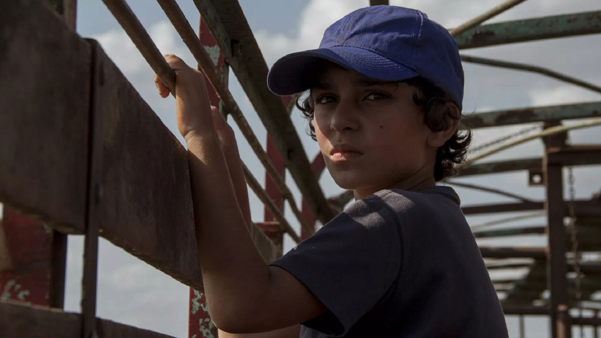 Backdrop for Delfín