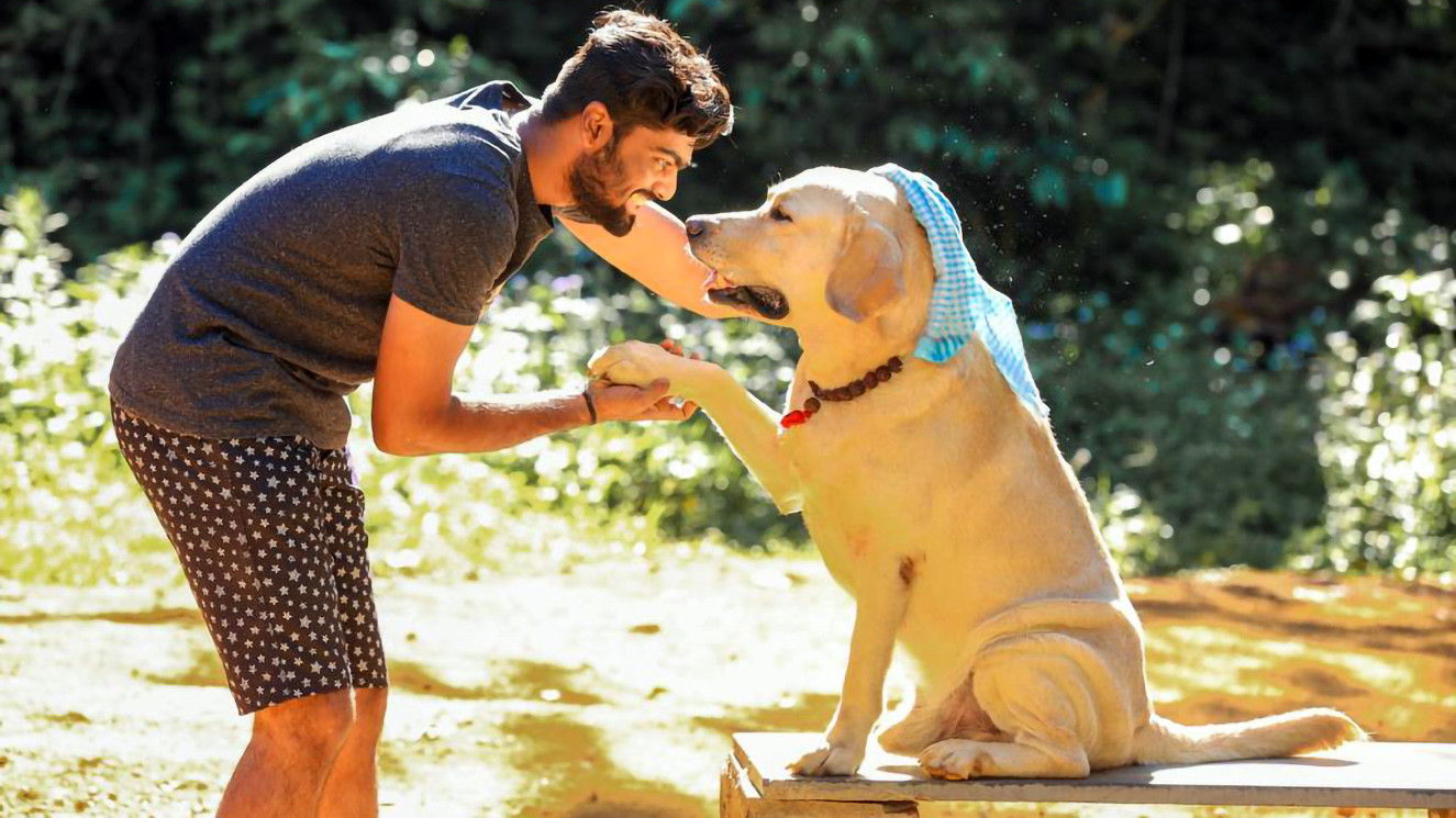 Backdrop for Anbulla Ghilli