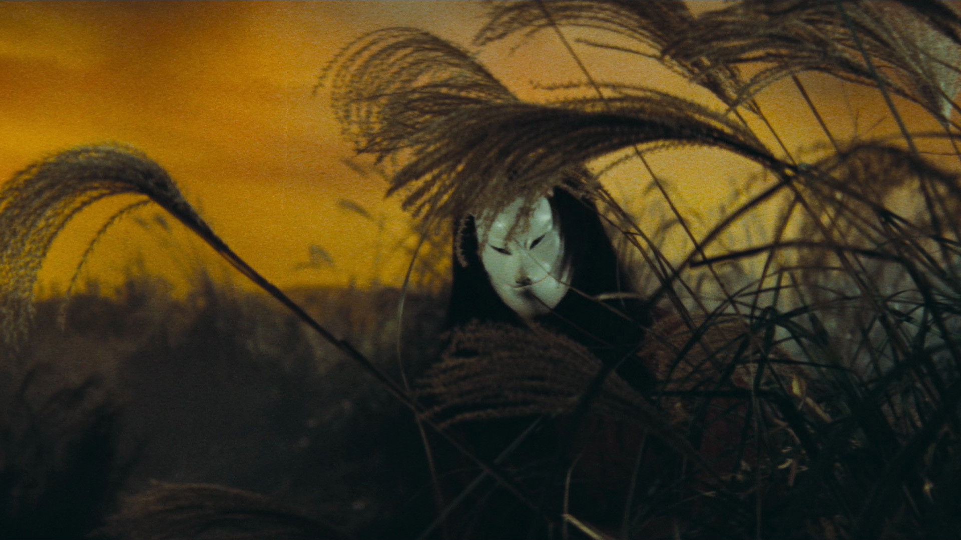 Backdrop for The Mad Fox