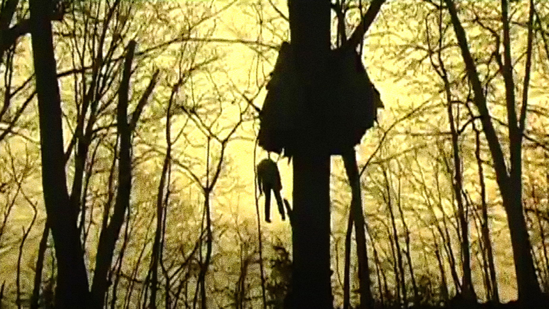 Backdrop for Head Trauma