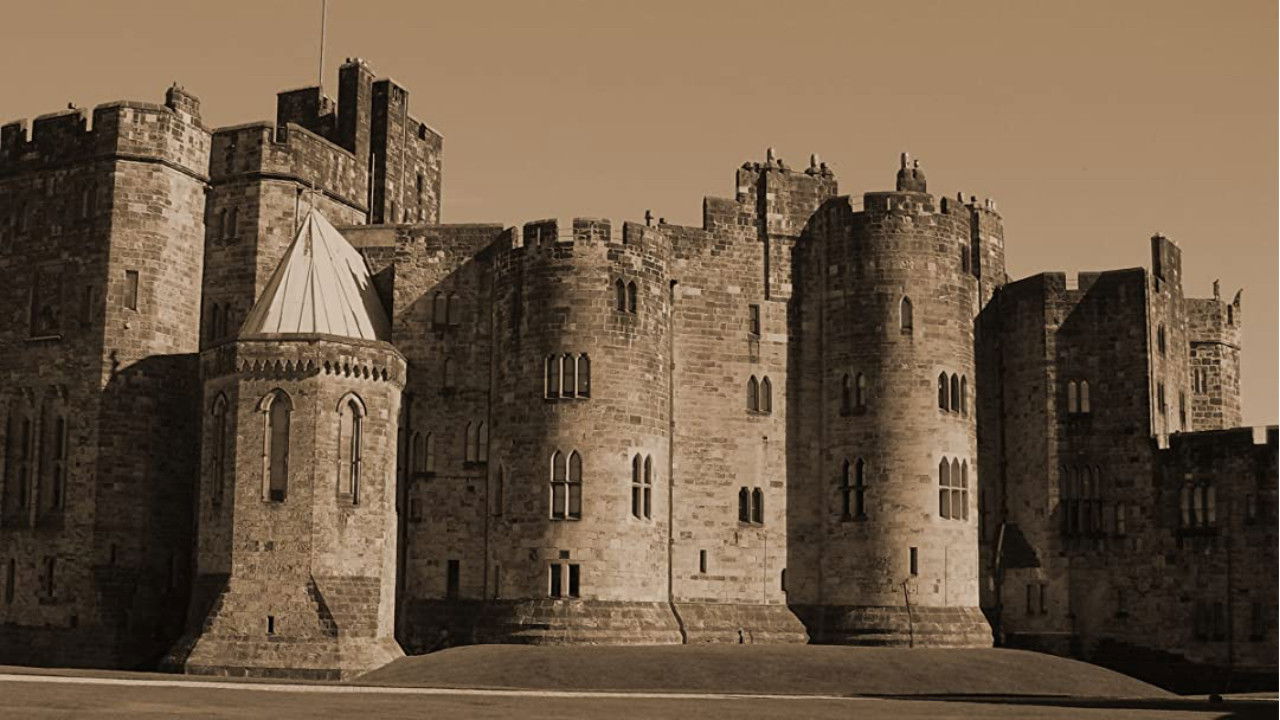 Backdrop for Battle Castle