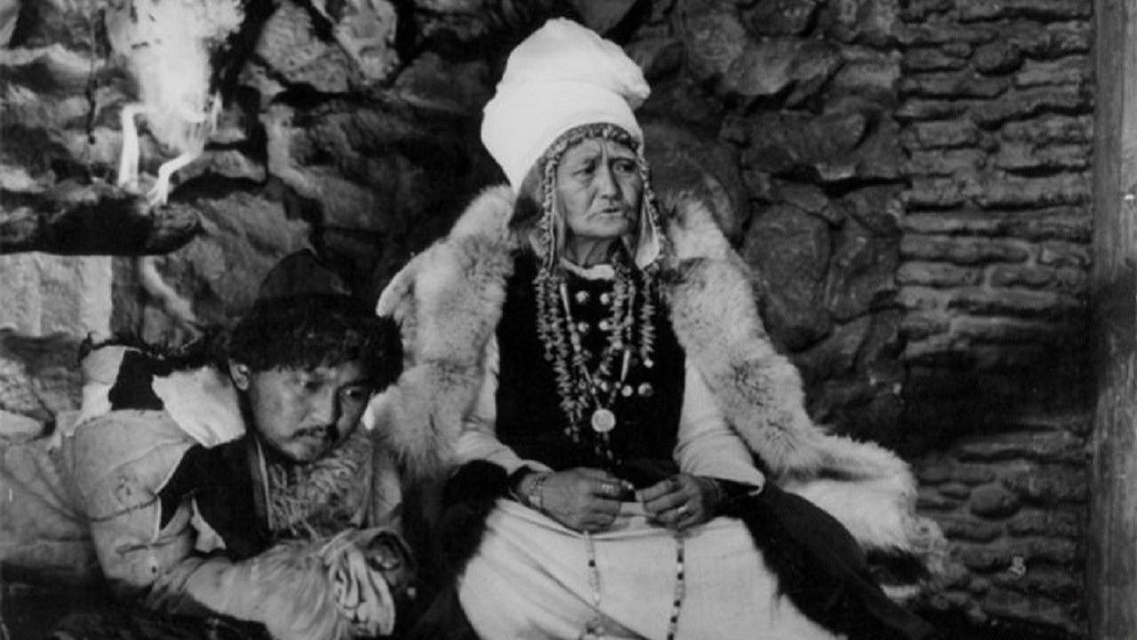 Backdrop for The Descendant of the Snow Leopard