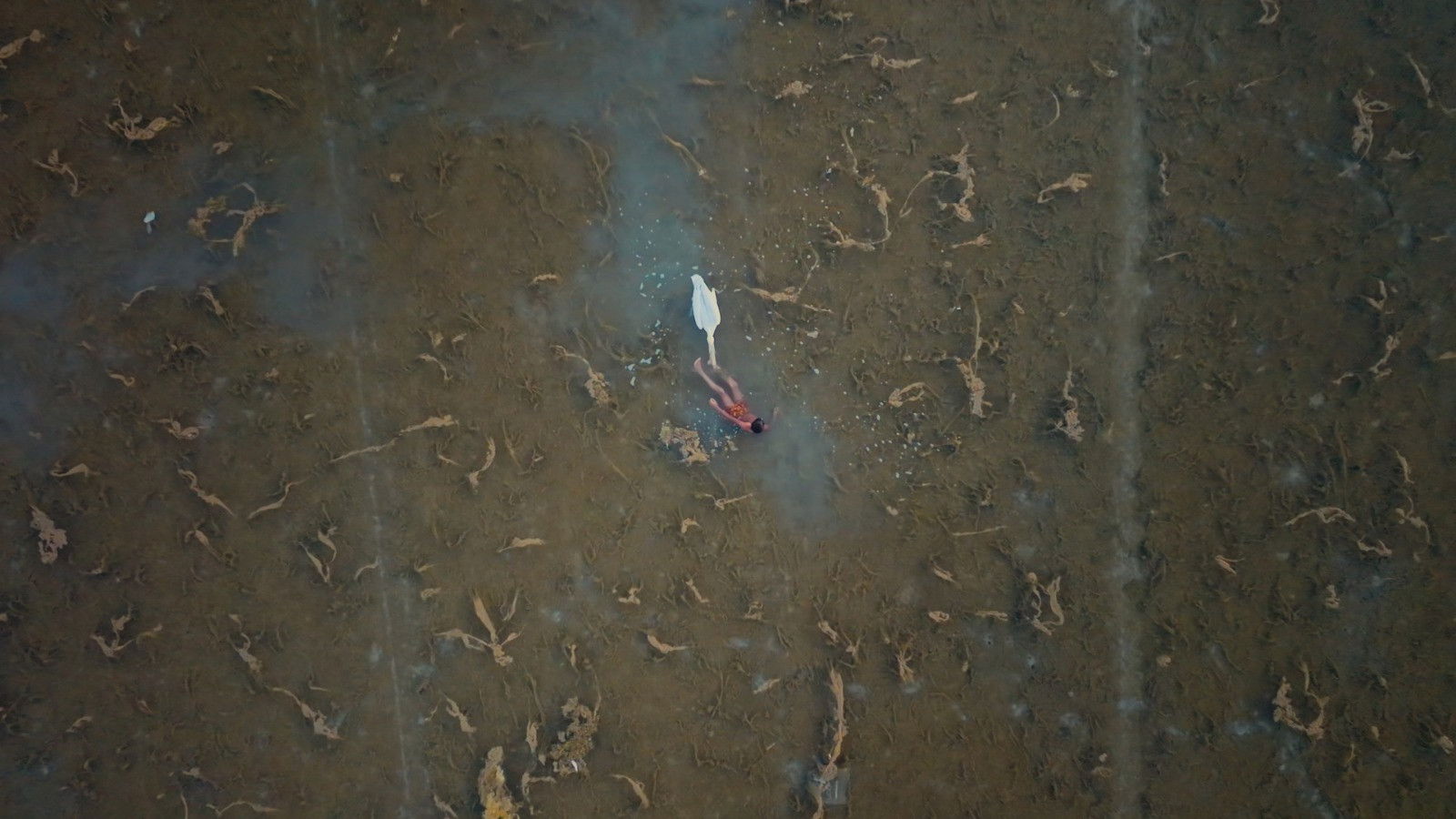 Backdrop for Moklani: The Last Mohanas