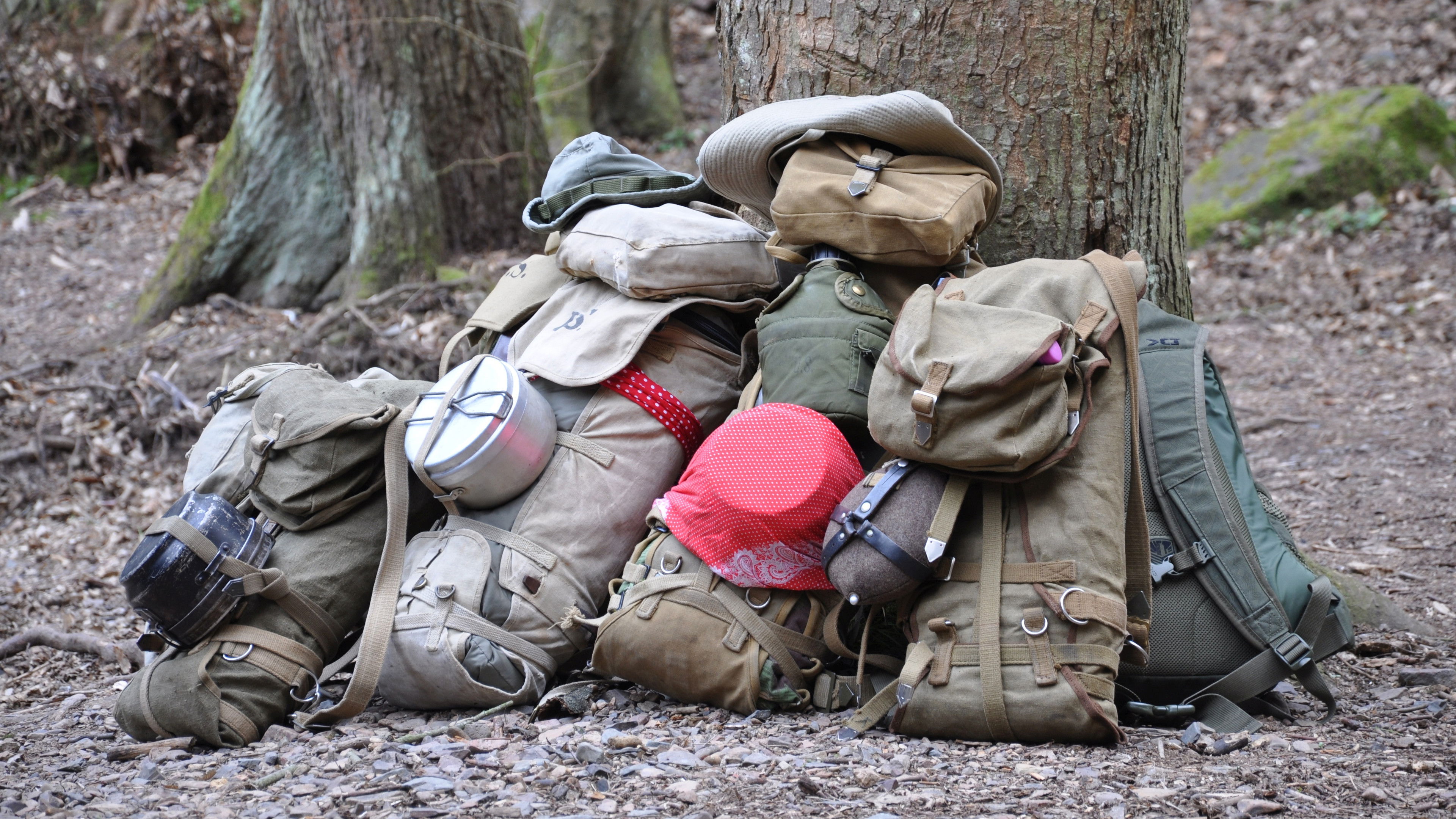 Backdrop for Zvláštní znamení touha