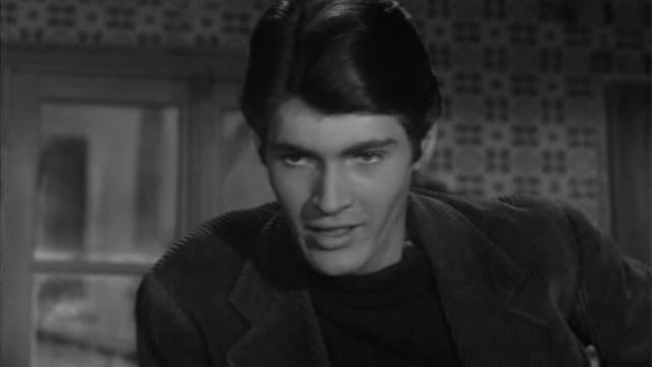 Backdrop for Wasteland