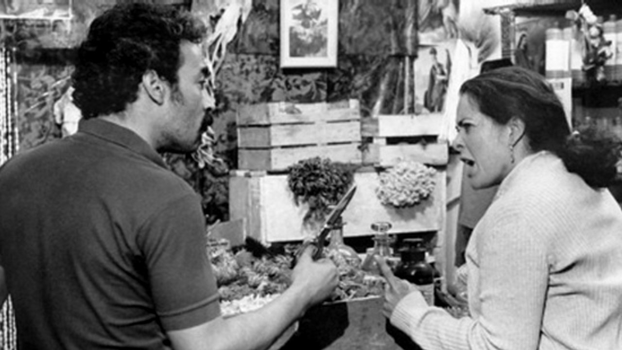 Backdrop for Love Lies