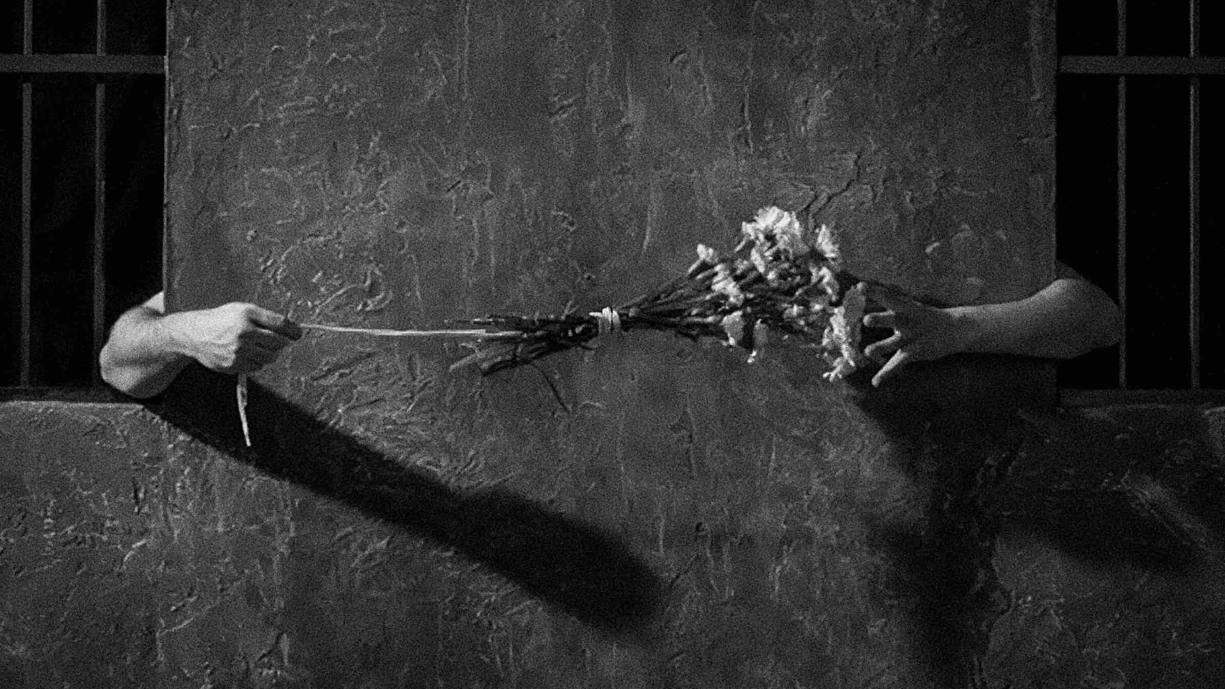 Backdrop for Song of Love