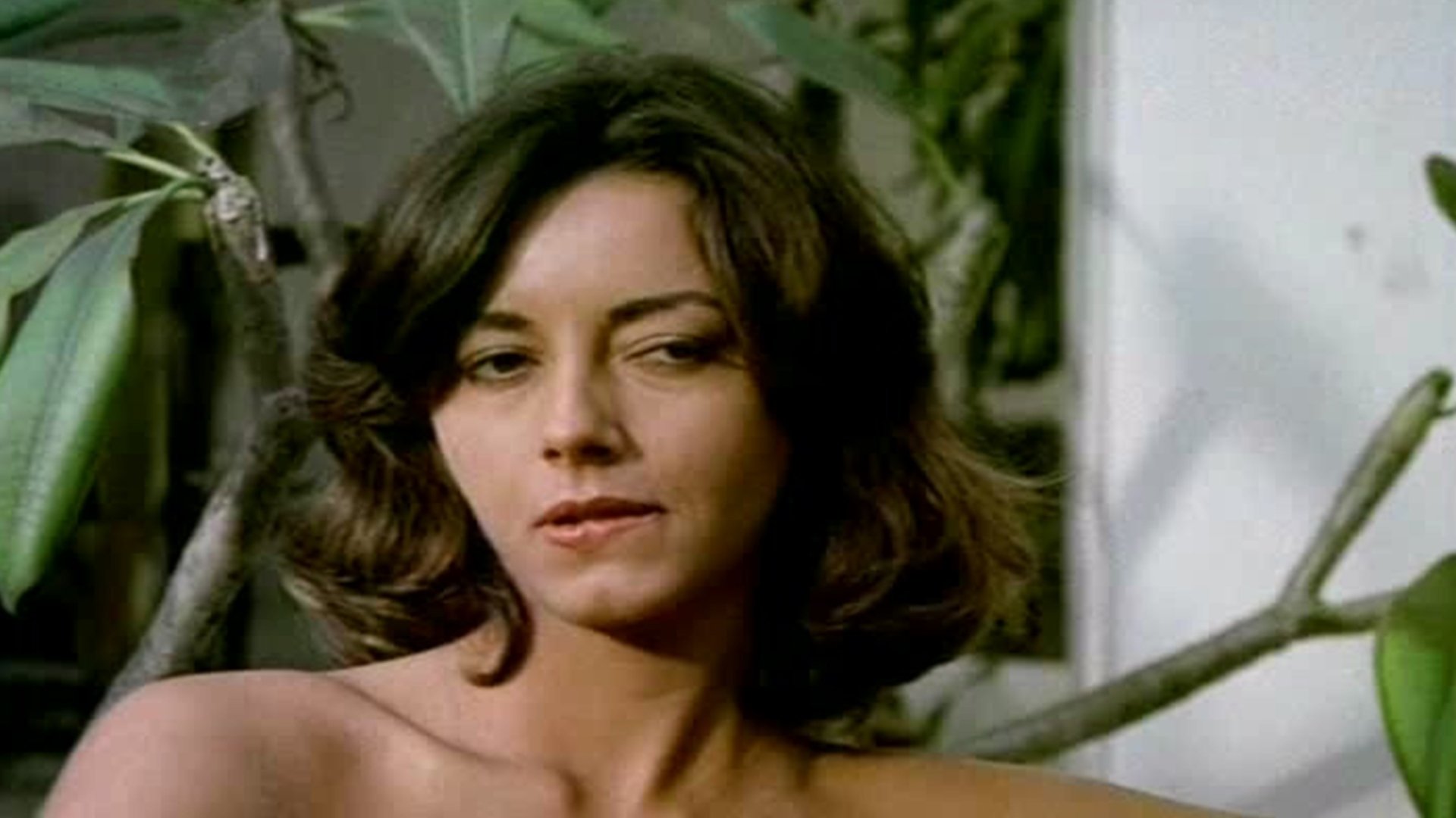 Backdrop for As Seis Mulheres de Adão