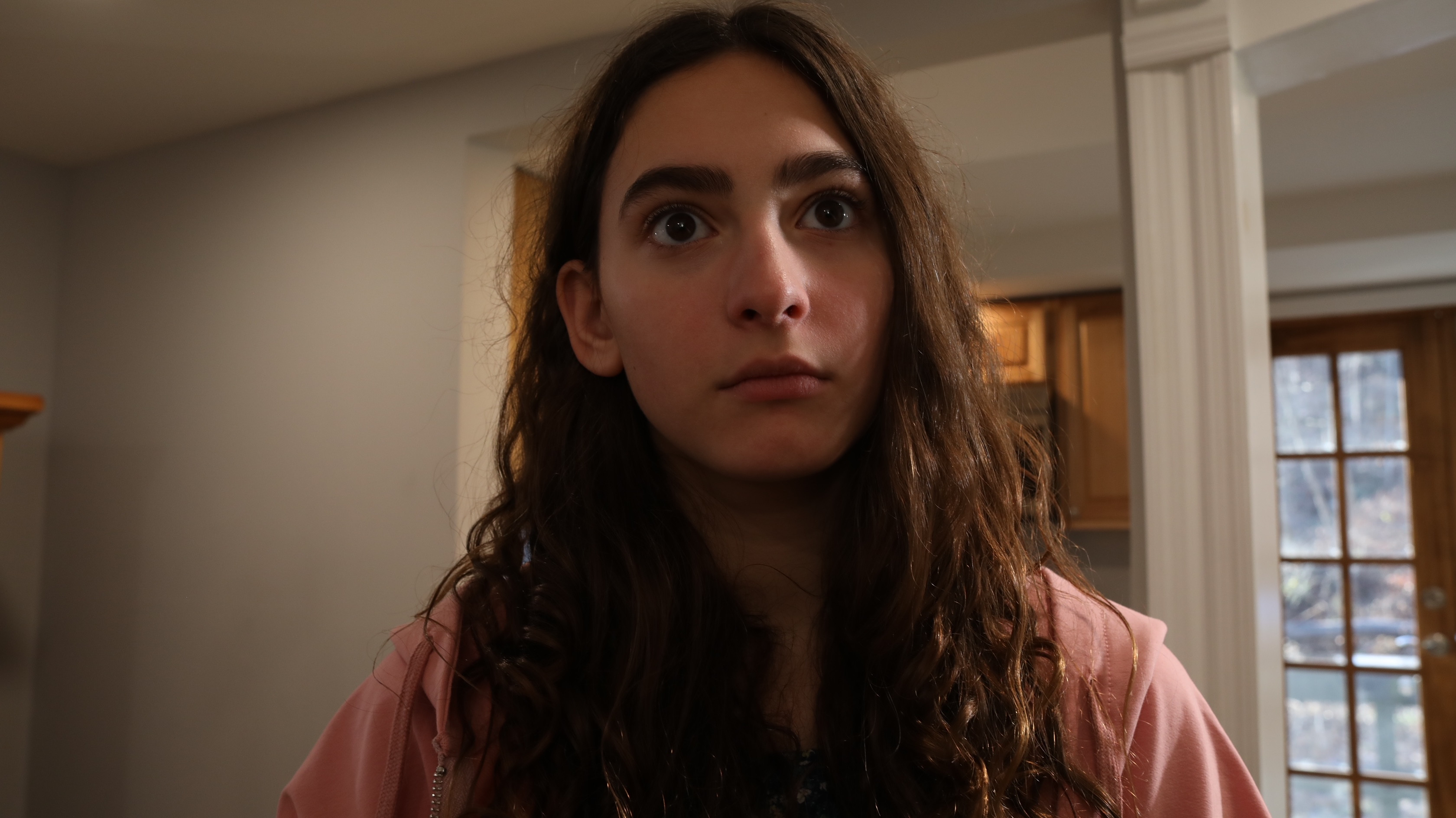 Backdrop for Stay Out of the Basement