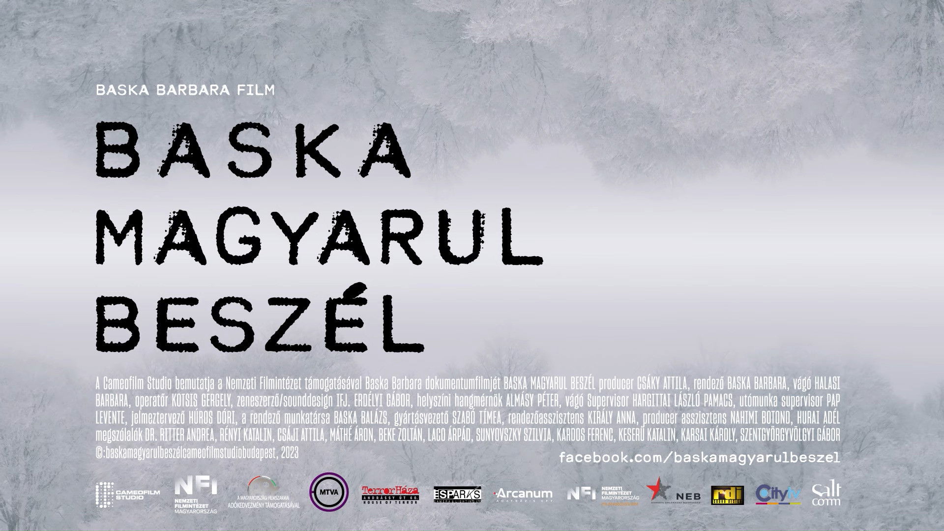 Backdrop for Baska magyarul beszél – Baska József története