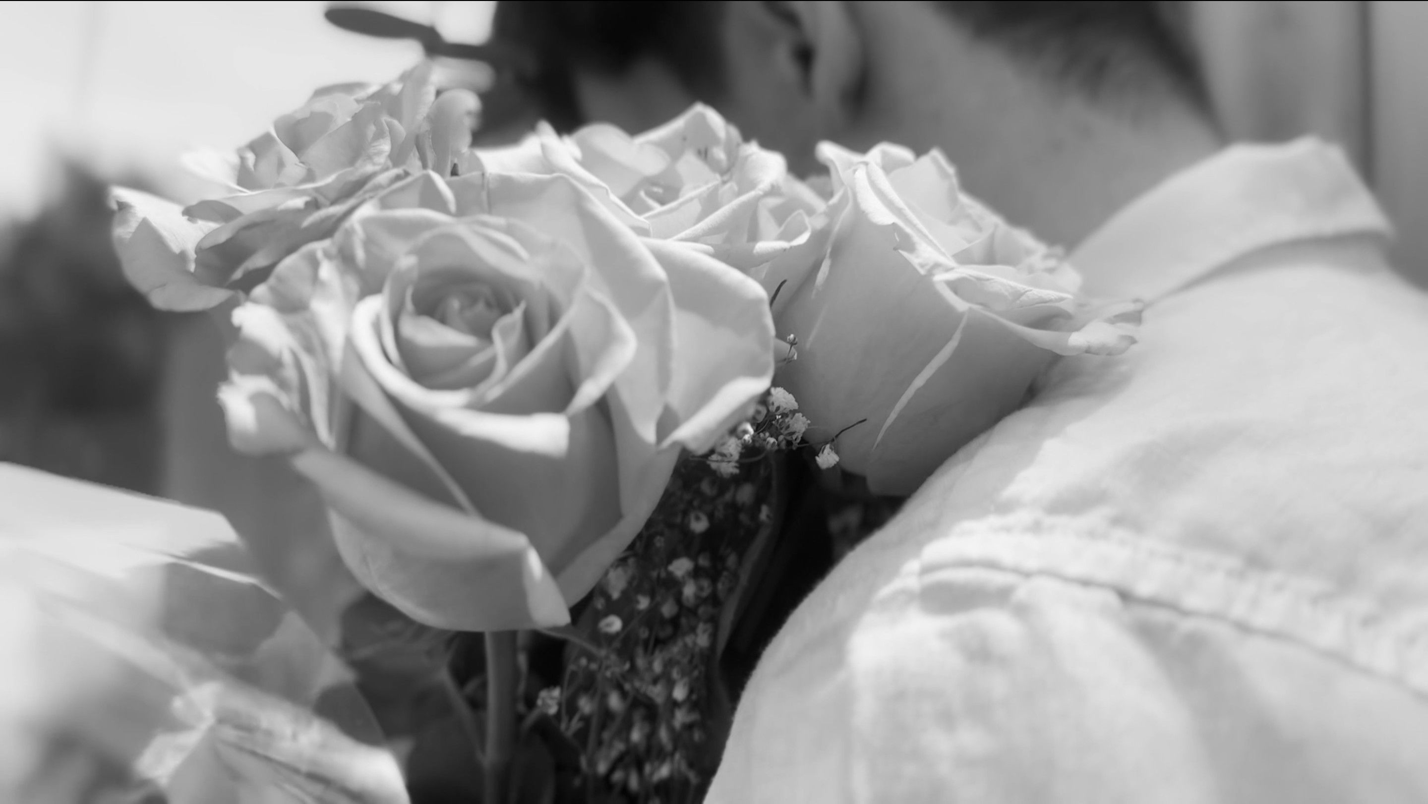 Backdrop for No Romance