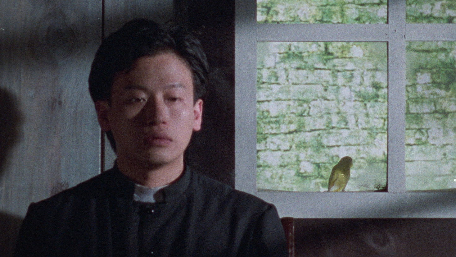 Backdrop for Execution