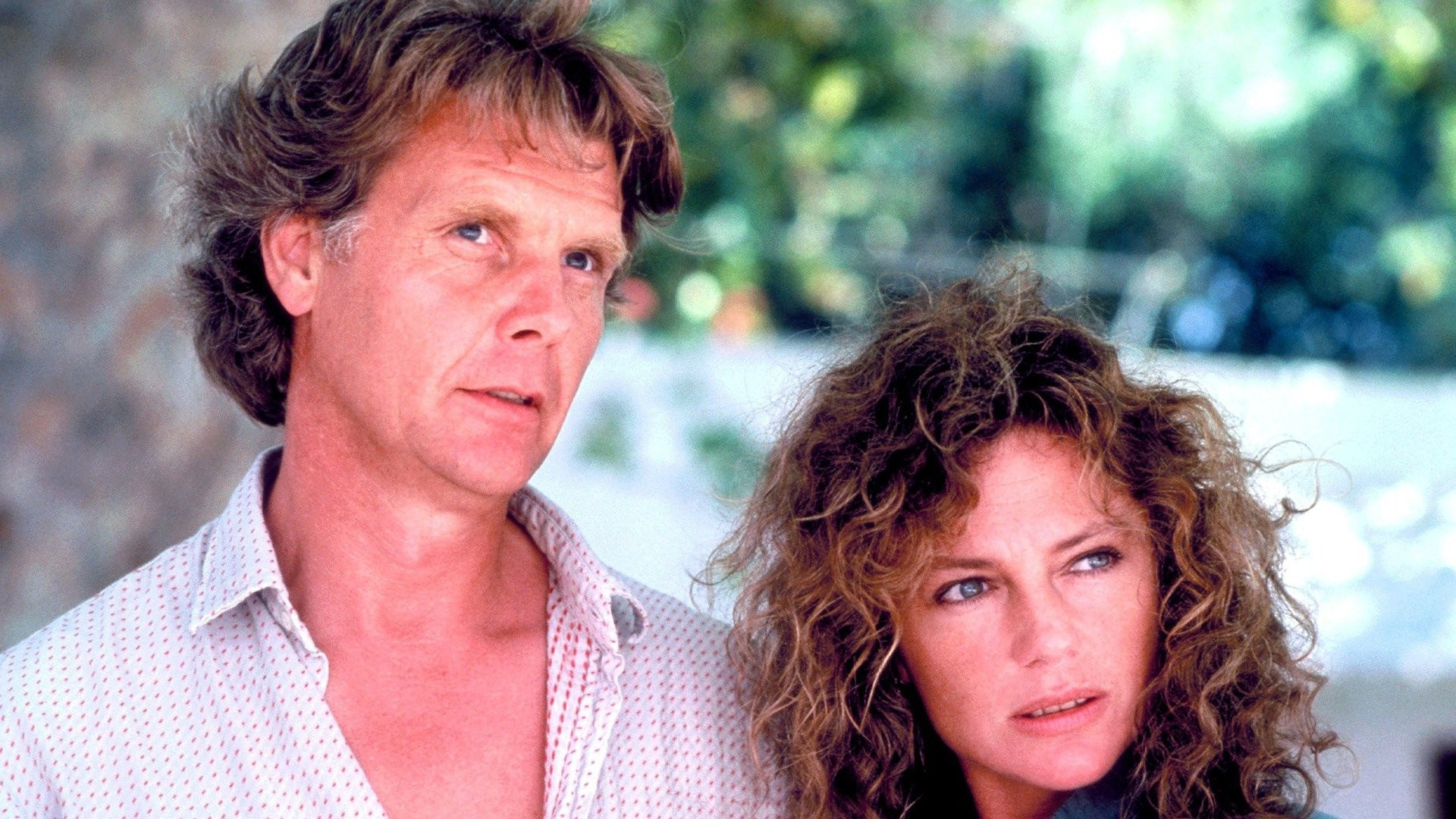 Backdrop for High Season