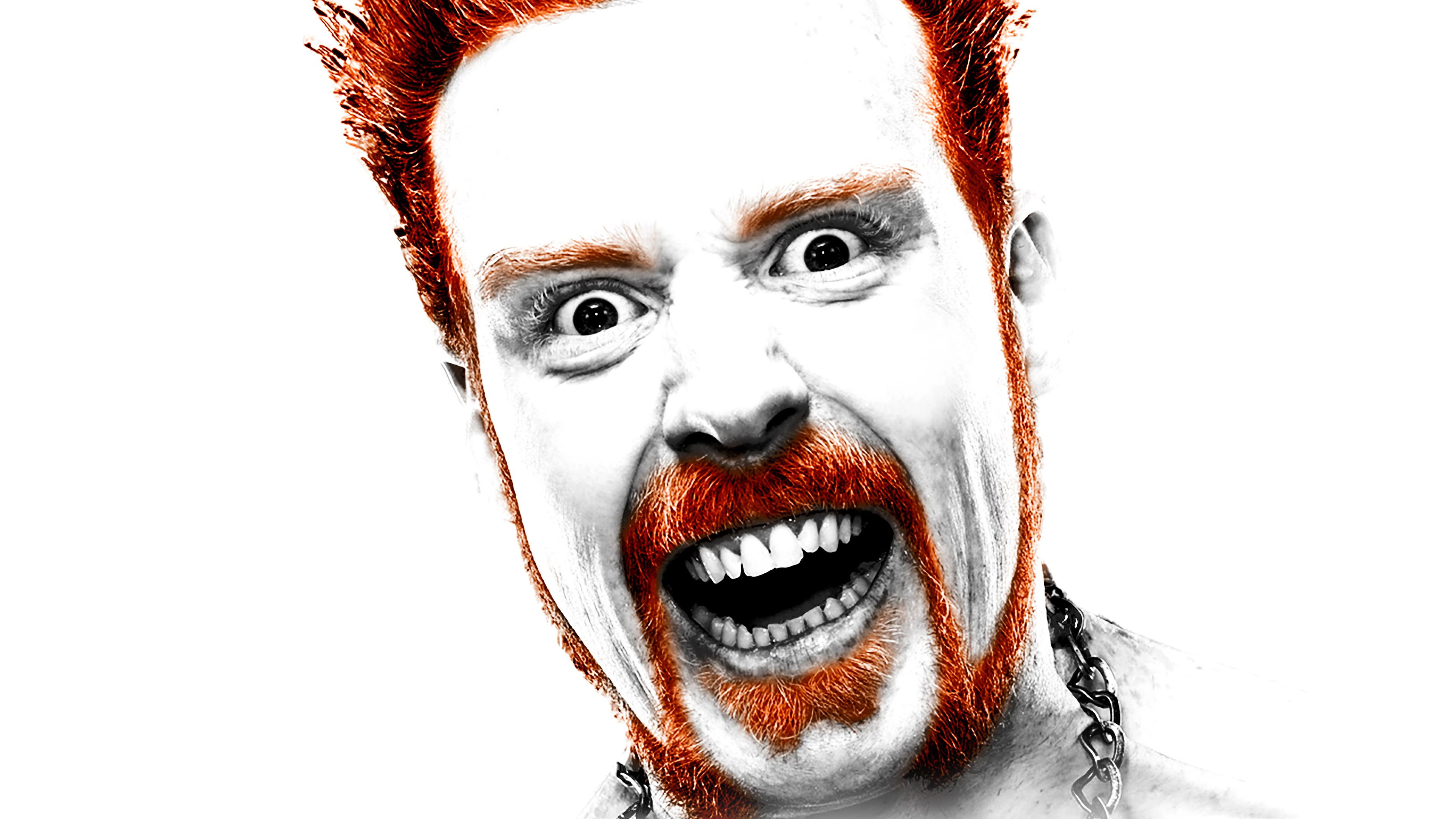 Backdrop for WWE Extreme Rules 2010