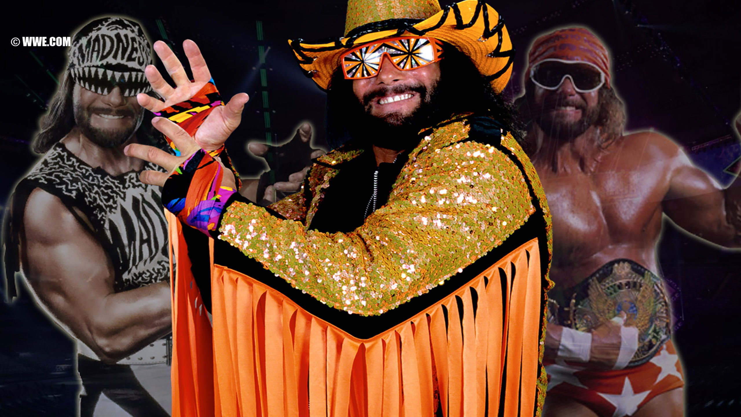 Backdrop for Macho Madness - The Randy Savage Ultimate Collection