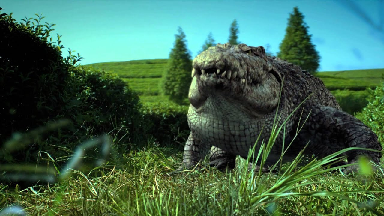 Backdrop for Million Dollar Crocodile