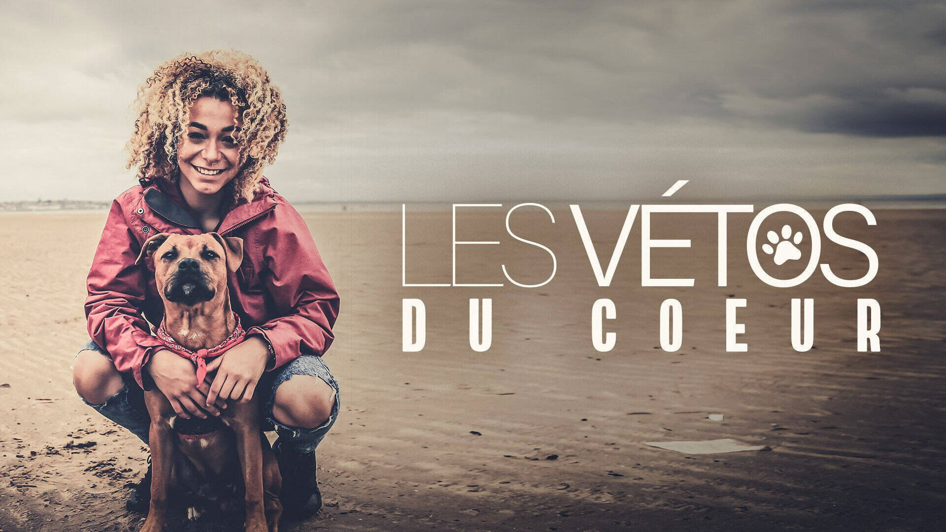 Backdrop for The People's Vet