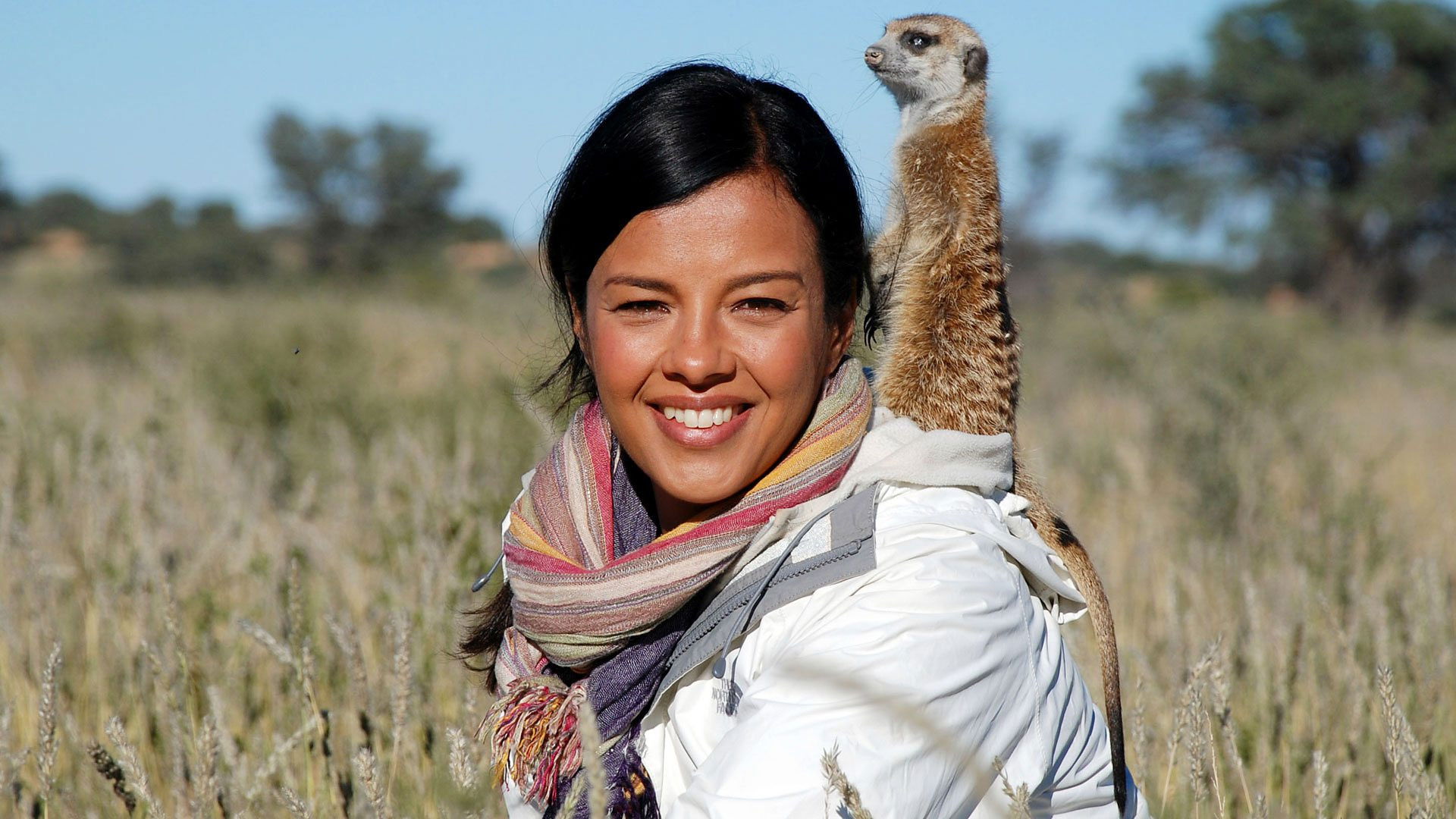 Backdrop for Animals in Love