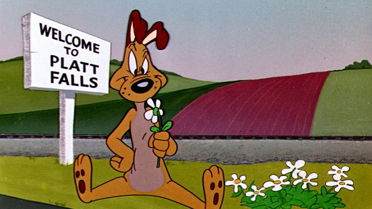 Backdrop for Dog Gone South