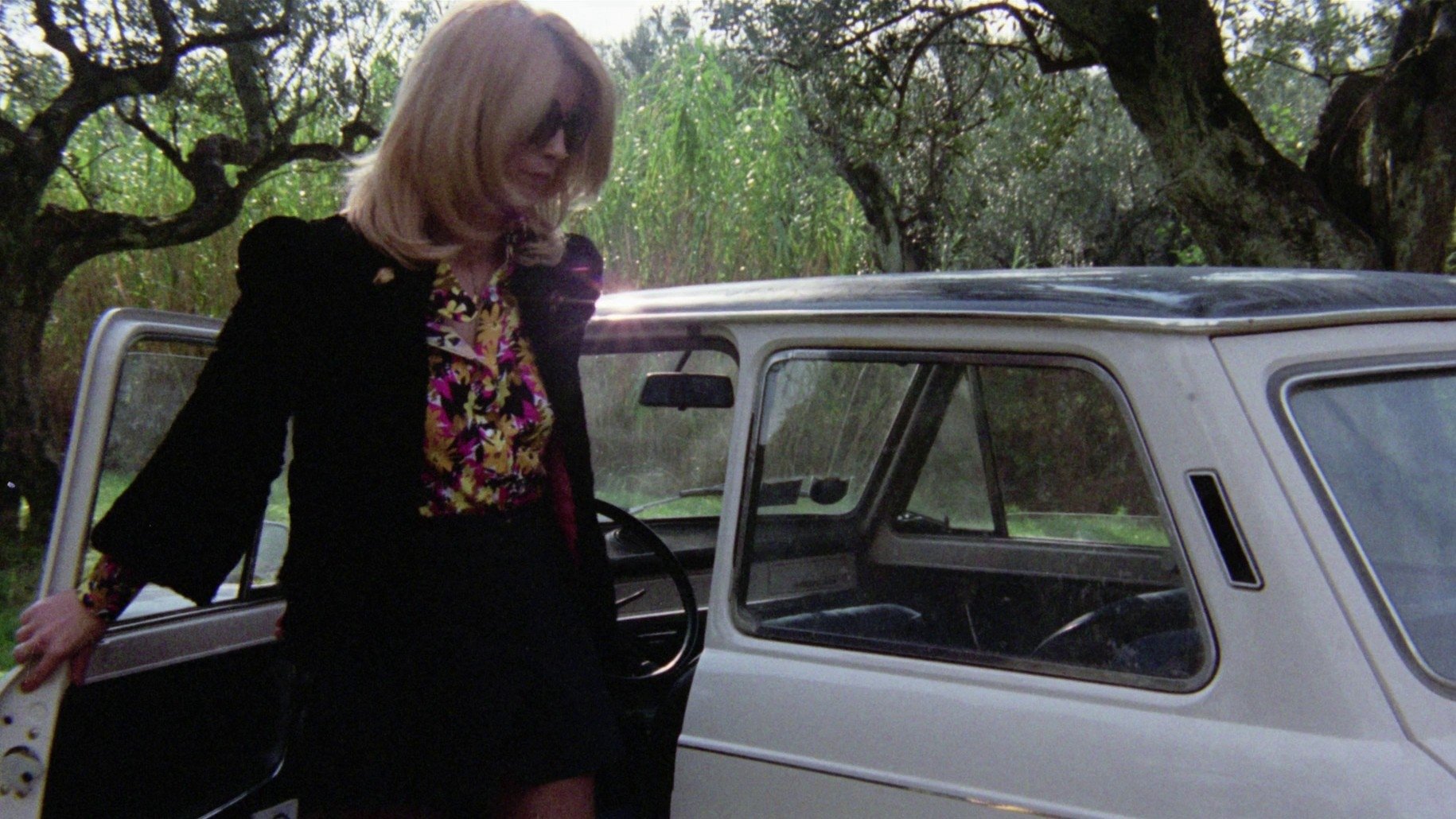 Backdrop for The Police Are Blundering in the Dark