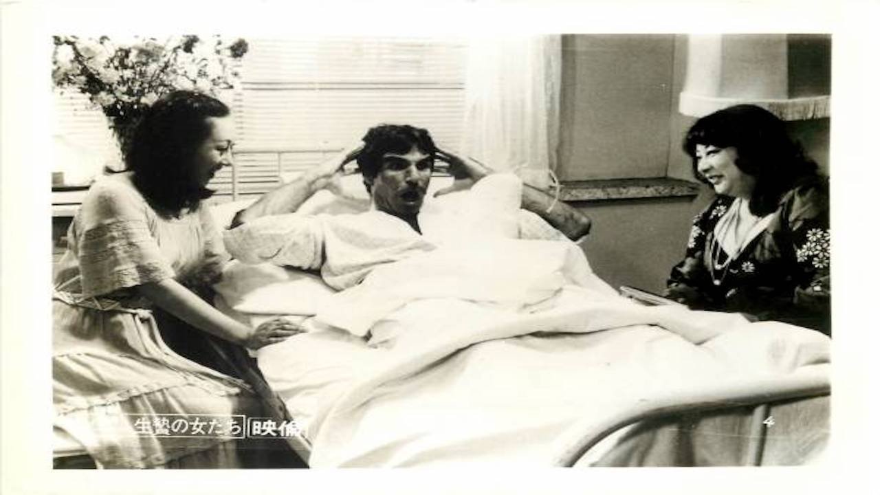 Backdrop for Harry and His Geisha Girls